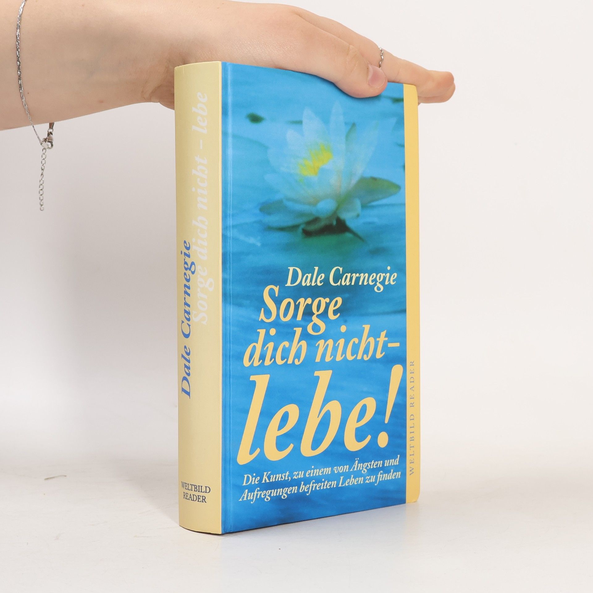 Dale Carnegie Sorge dich nicht - lebe!
