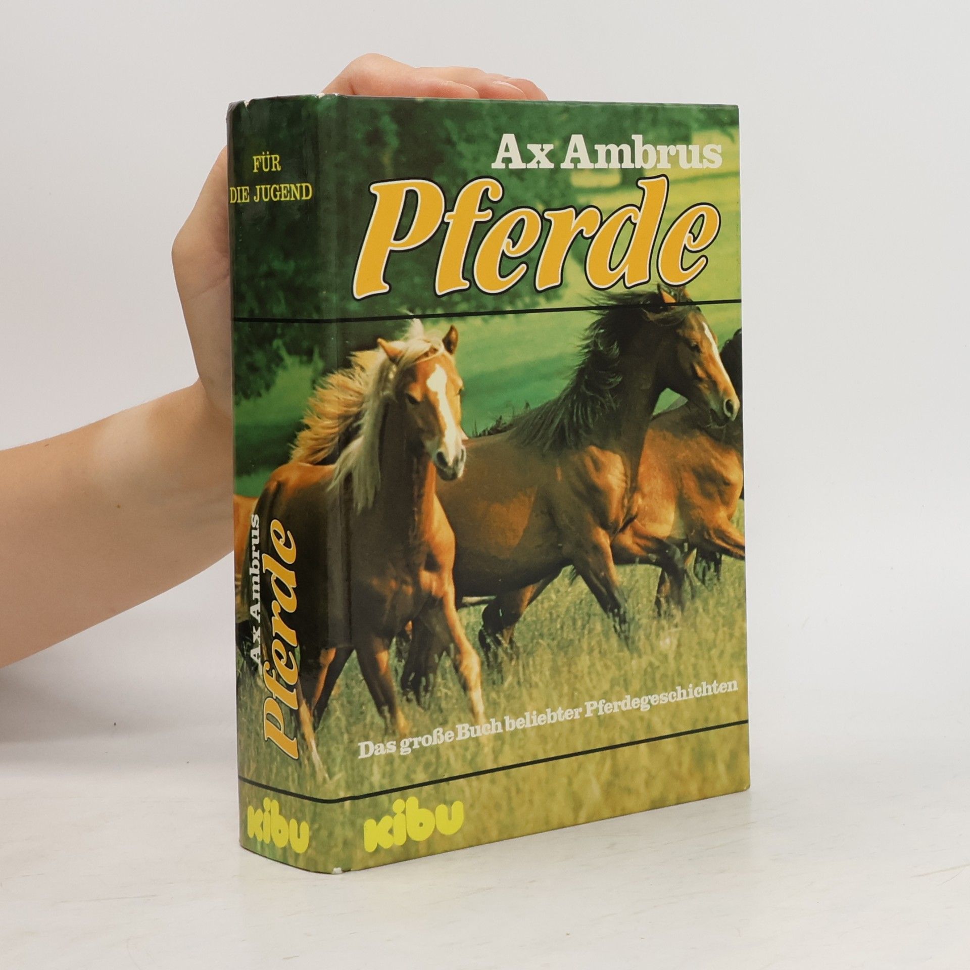 Pferde. Das große Buch beliebter Pferdegeschichten