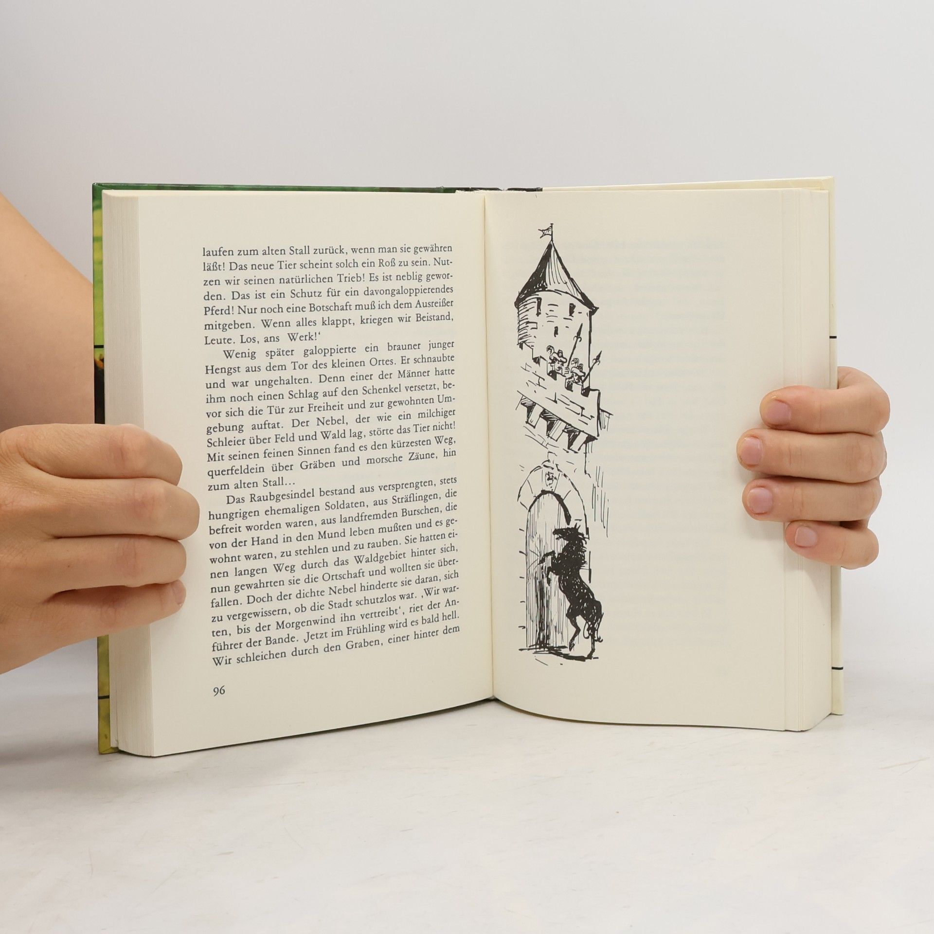 Ax Ambrus Pferde. Das große Buch beliebter Pferdegeschichten