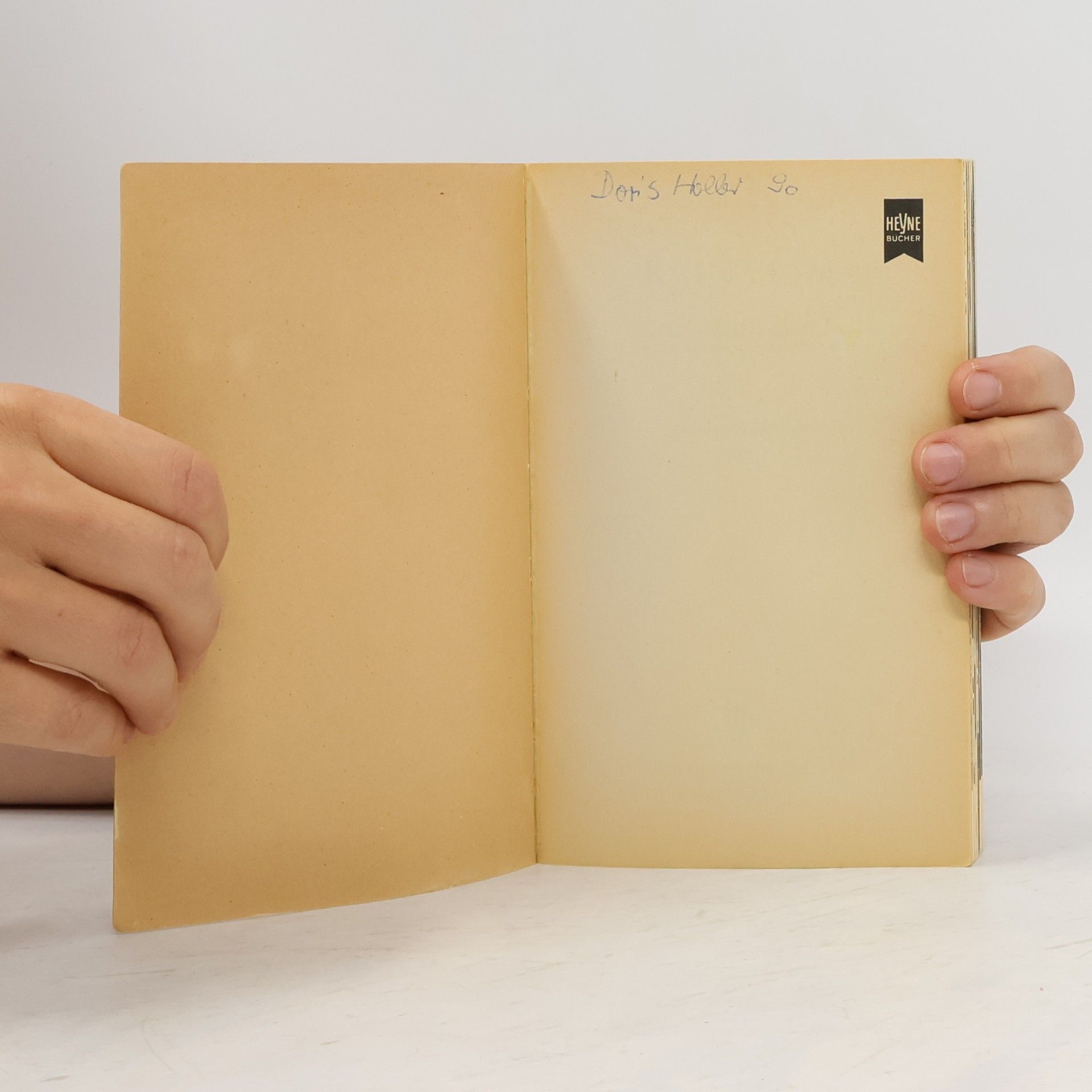 Leonore Fleischer Rain Man : ein roman nach dem Drehbuch von Ronald Bass und Barry Morrow