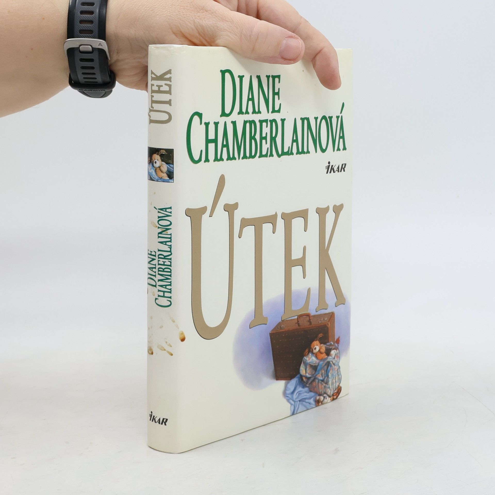 Diane Chamberlain Útek