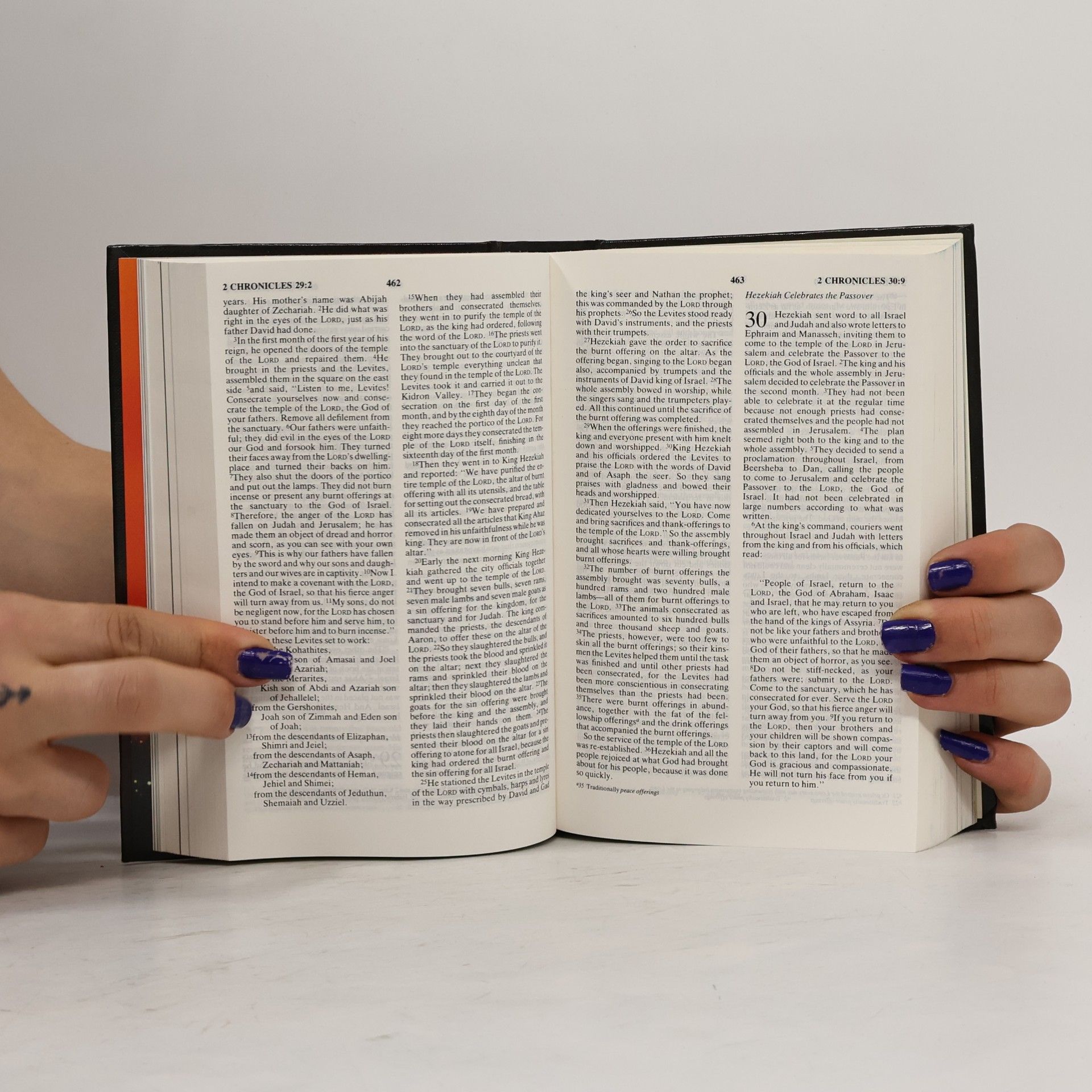International Bible Society New life Holy Bible: New International version : with colour features.