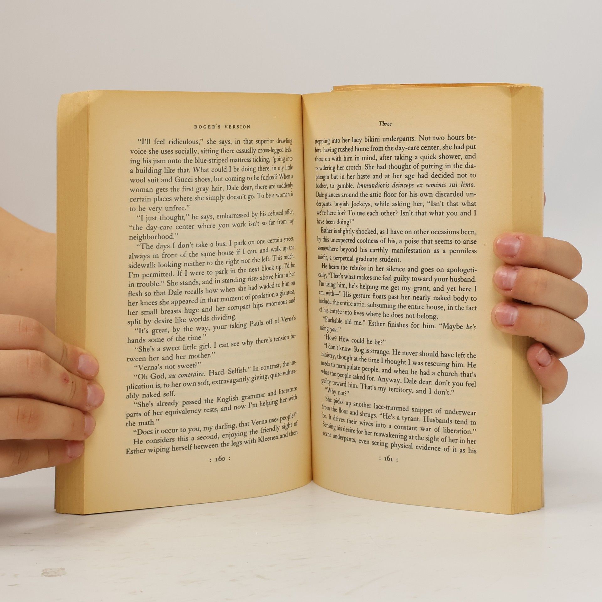 John Updike Roger's Version