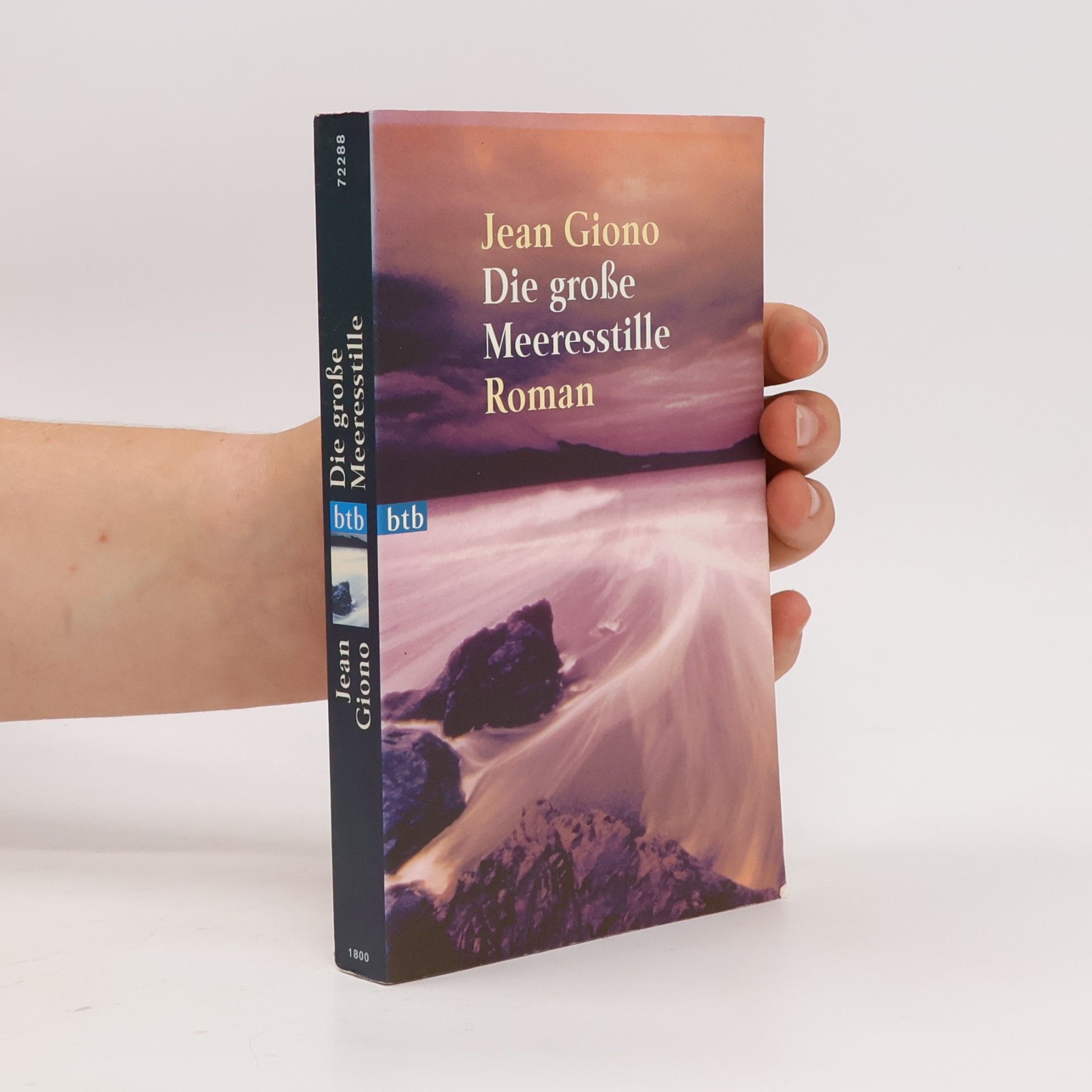 Jean Giono Die große Meeresstille