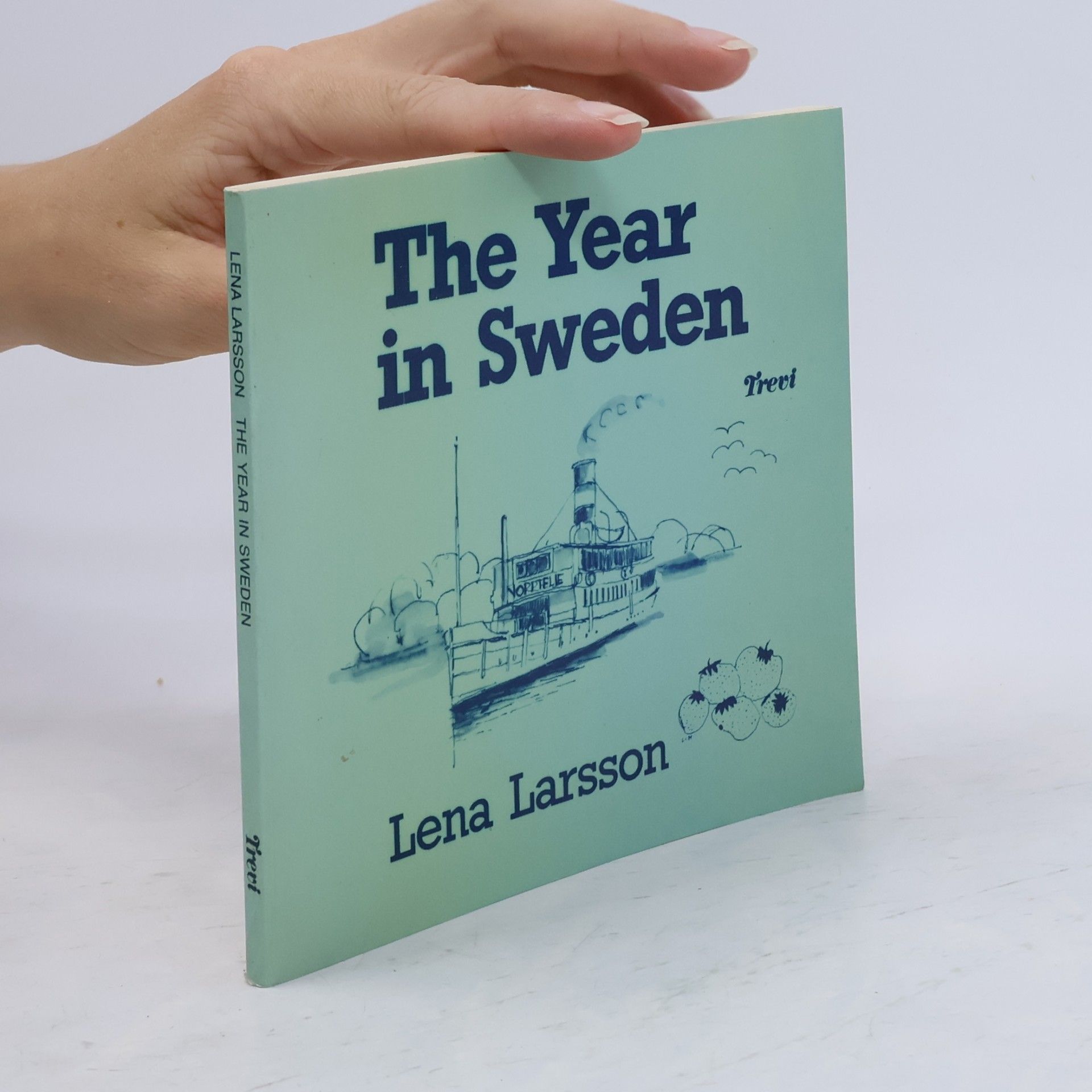 Lena Larsson The Year in Sweden