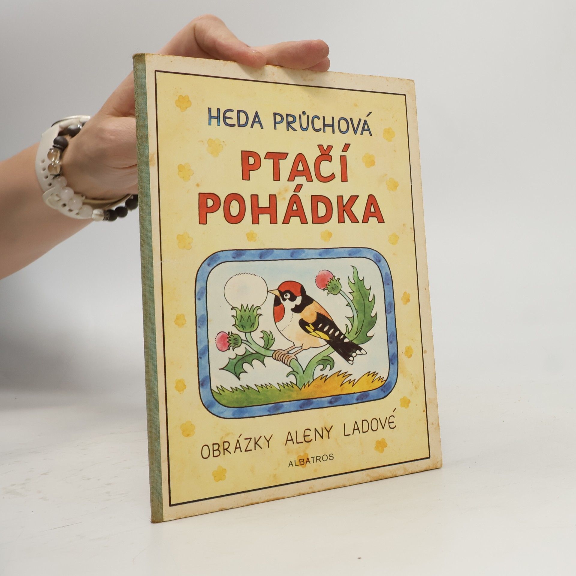 Ptačí pohádka