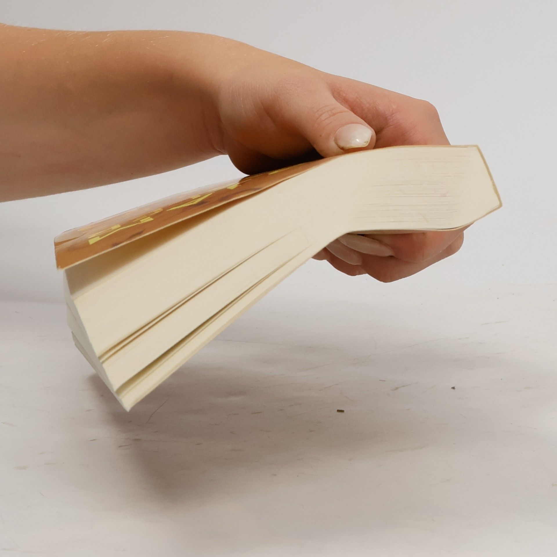 Mirjam Pressler Dunkles Gold