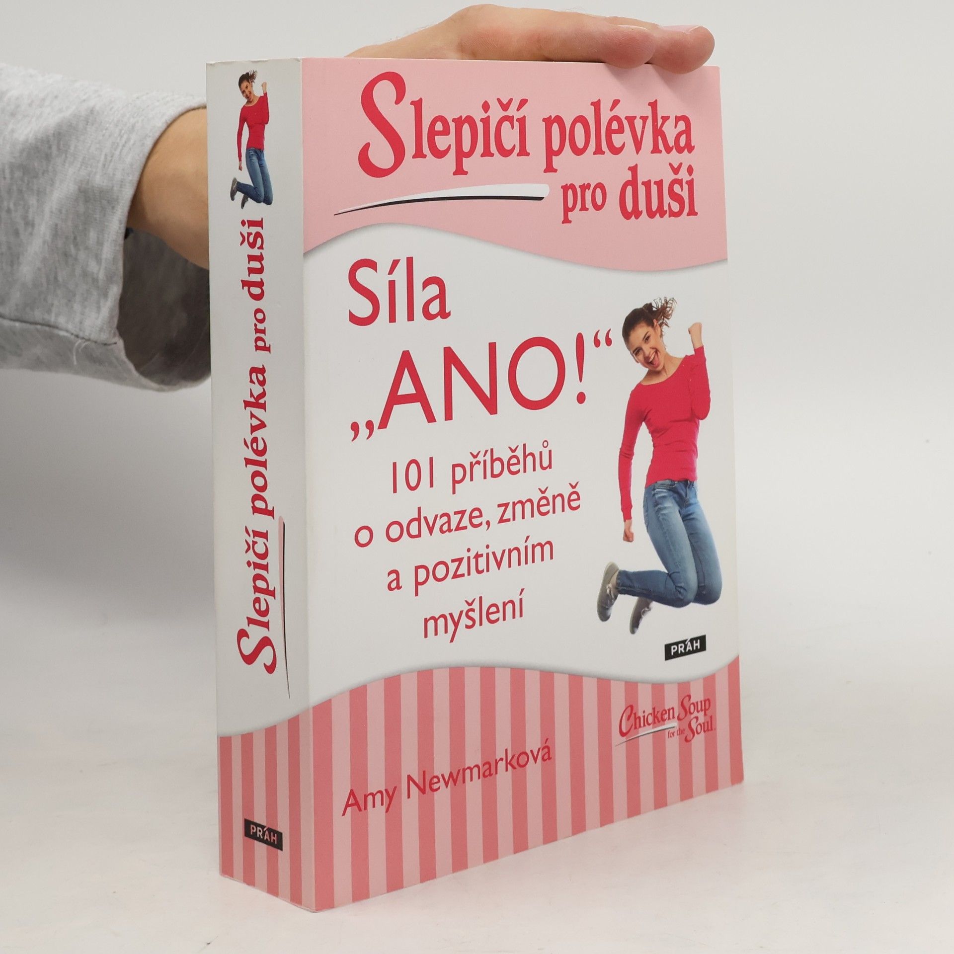 Amy Newmark Slepičí polévka pro duši : síla "Ano!"