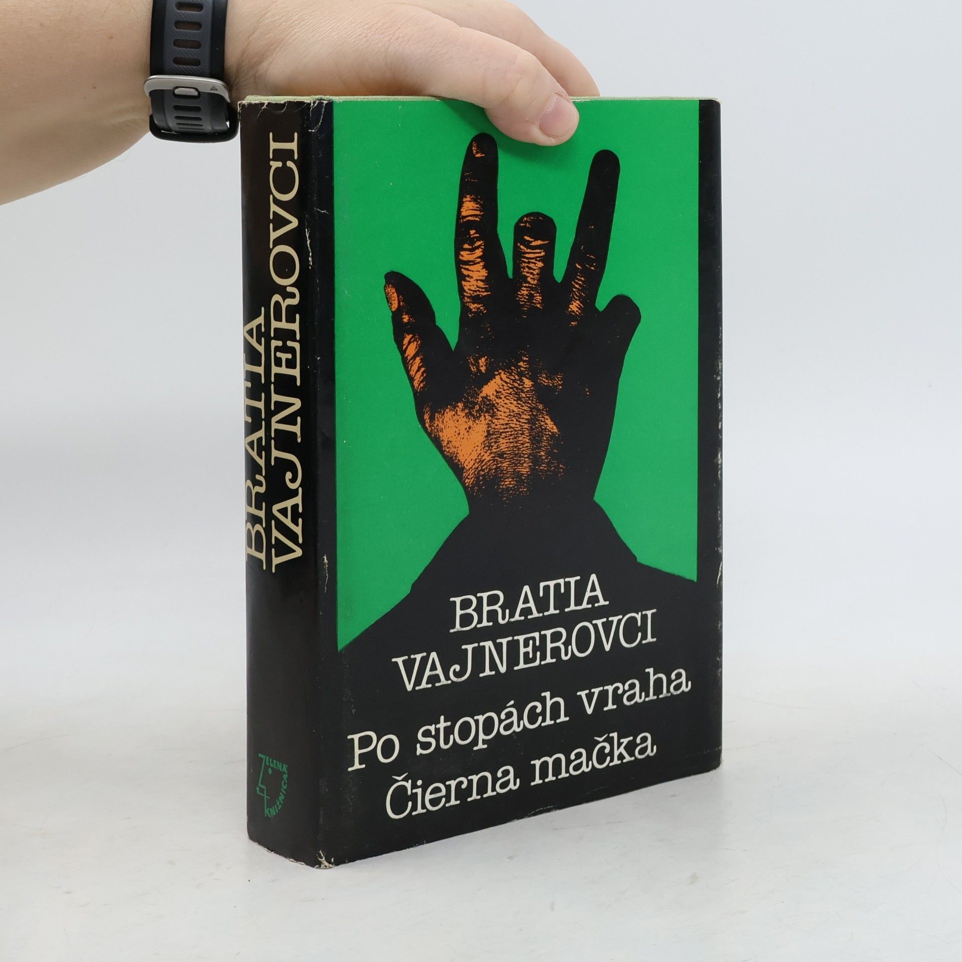 Georgij Aleksandrovič Vajner Po stopách vraha. Čierna mačka