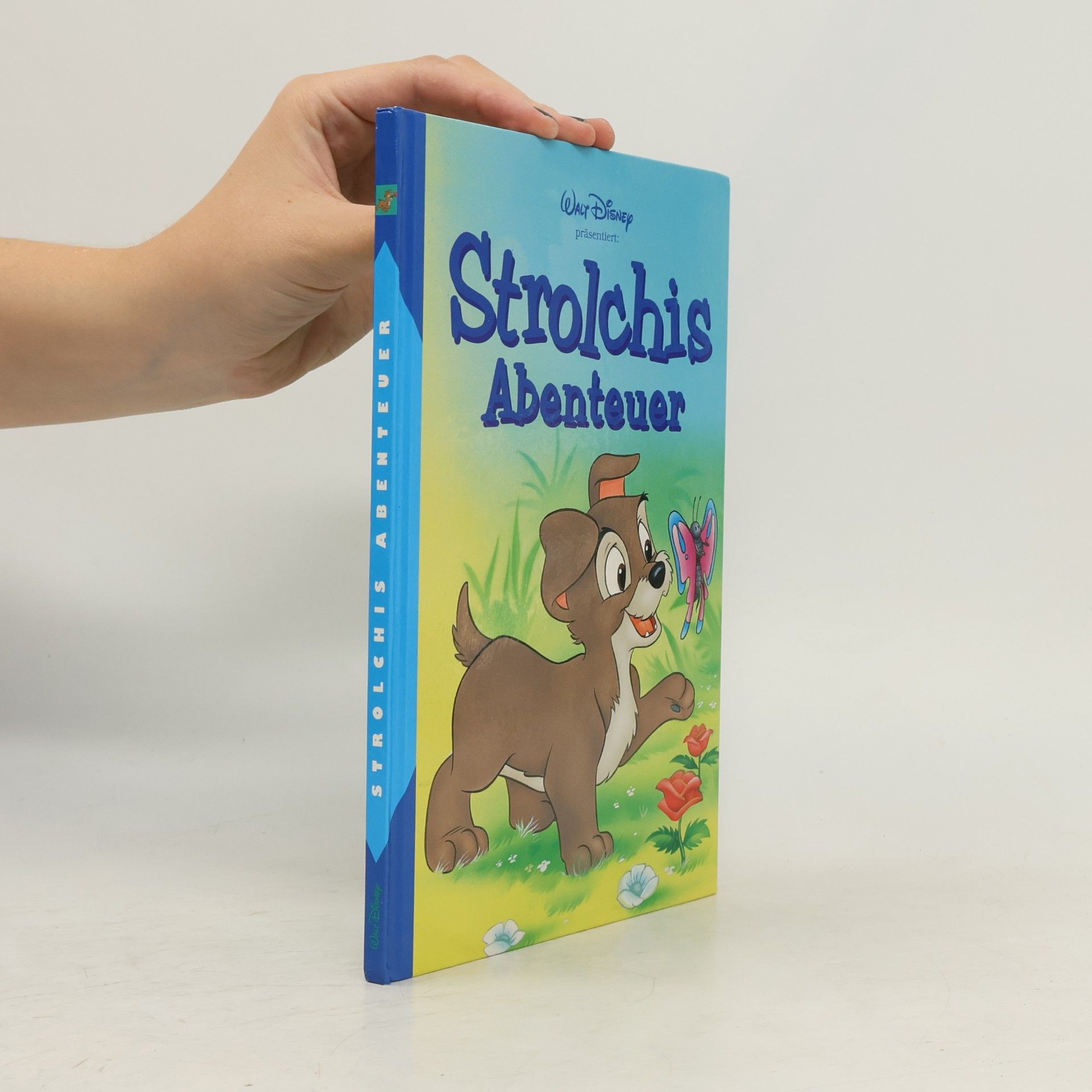 Various authors Strolchis Abenteuer