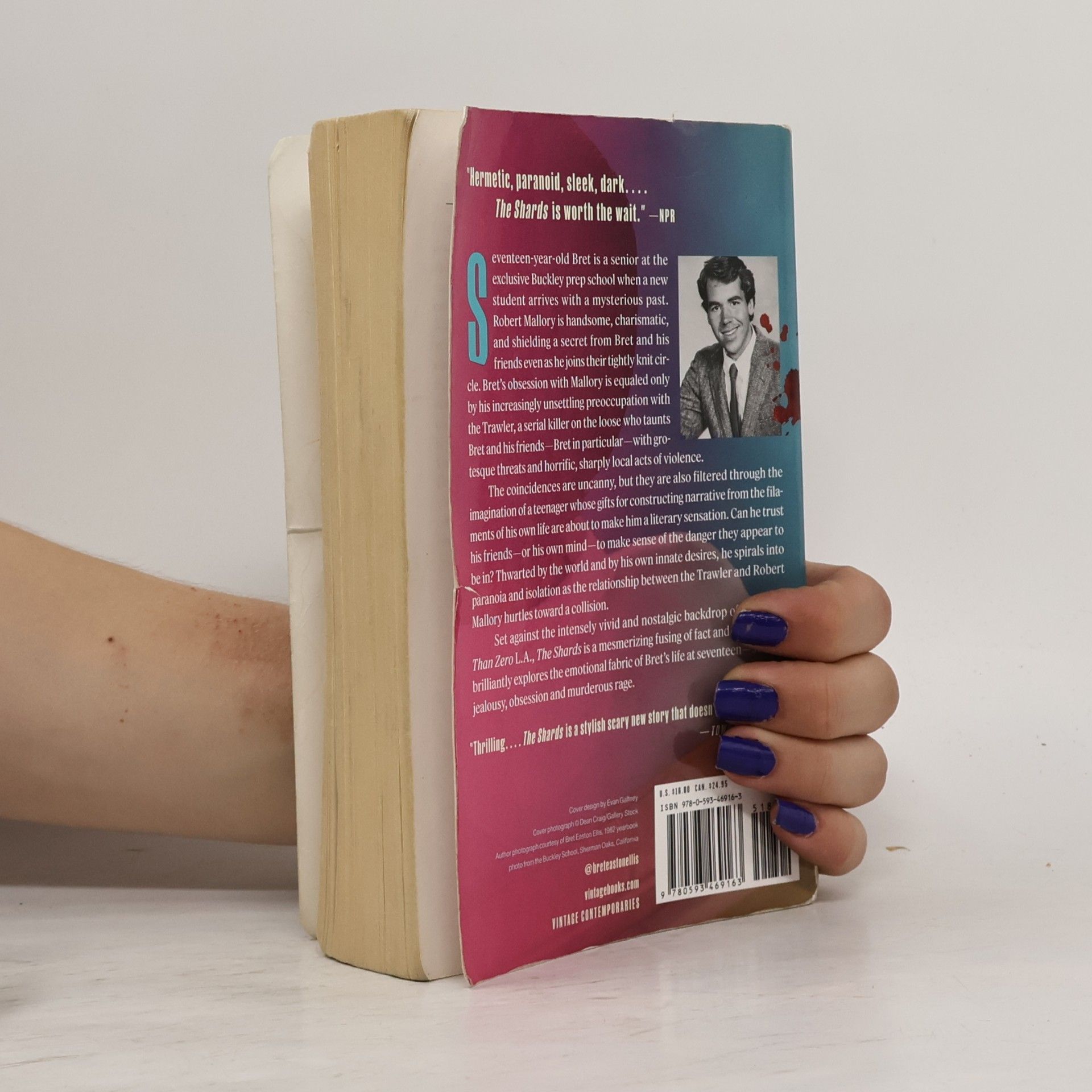 Bret Easton Ellis The Shards