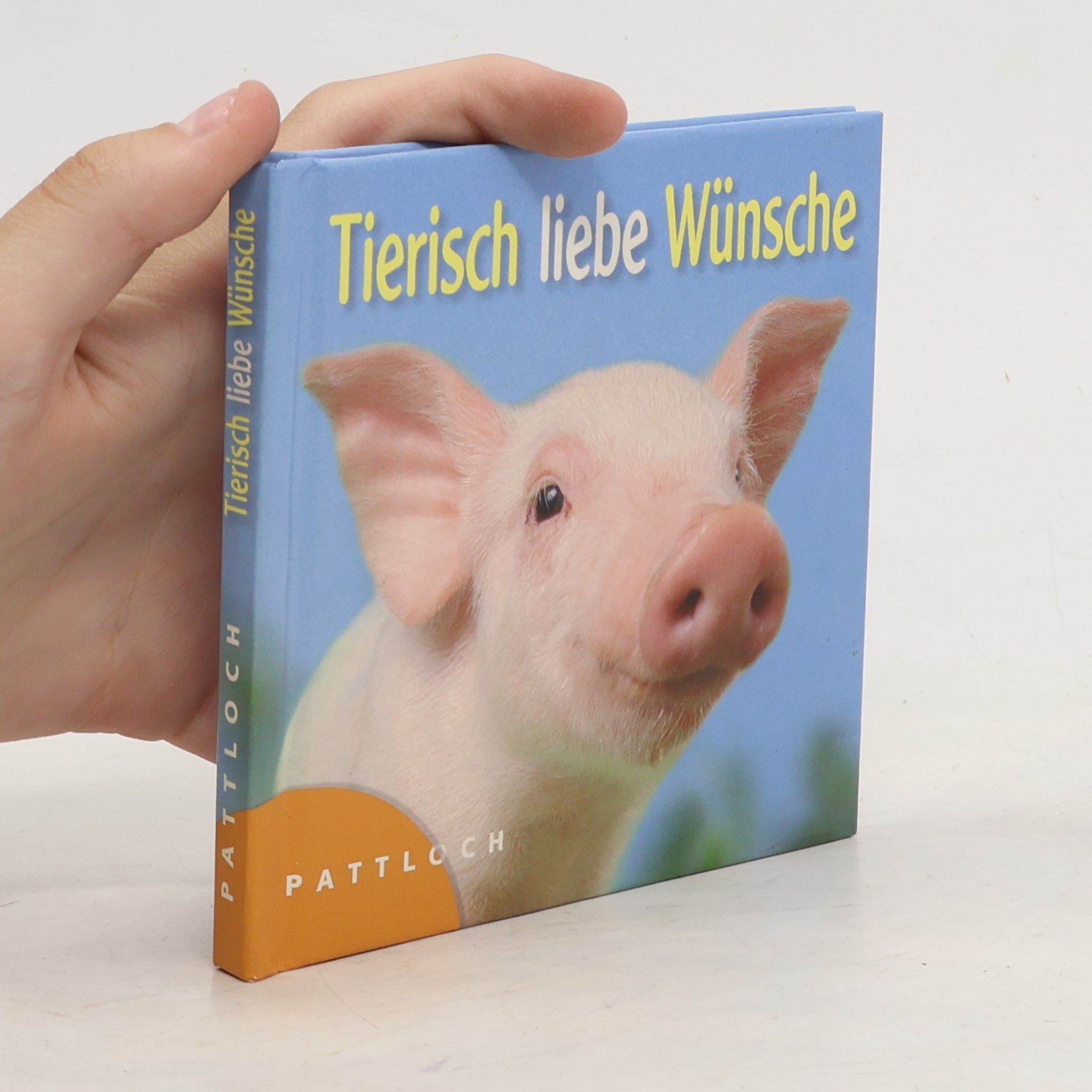 Vera Stein Tierisch liebe Wünsche