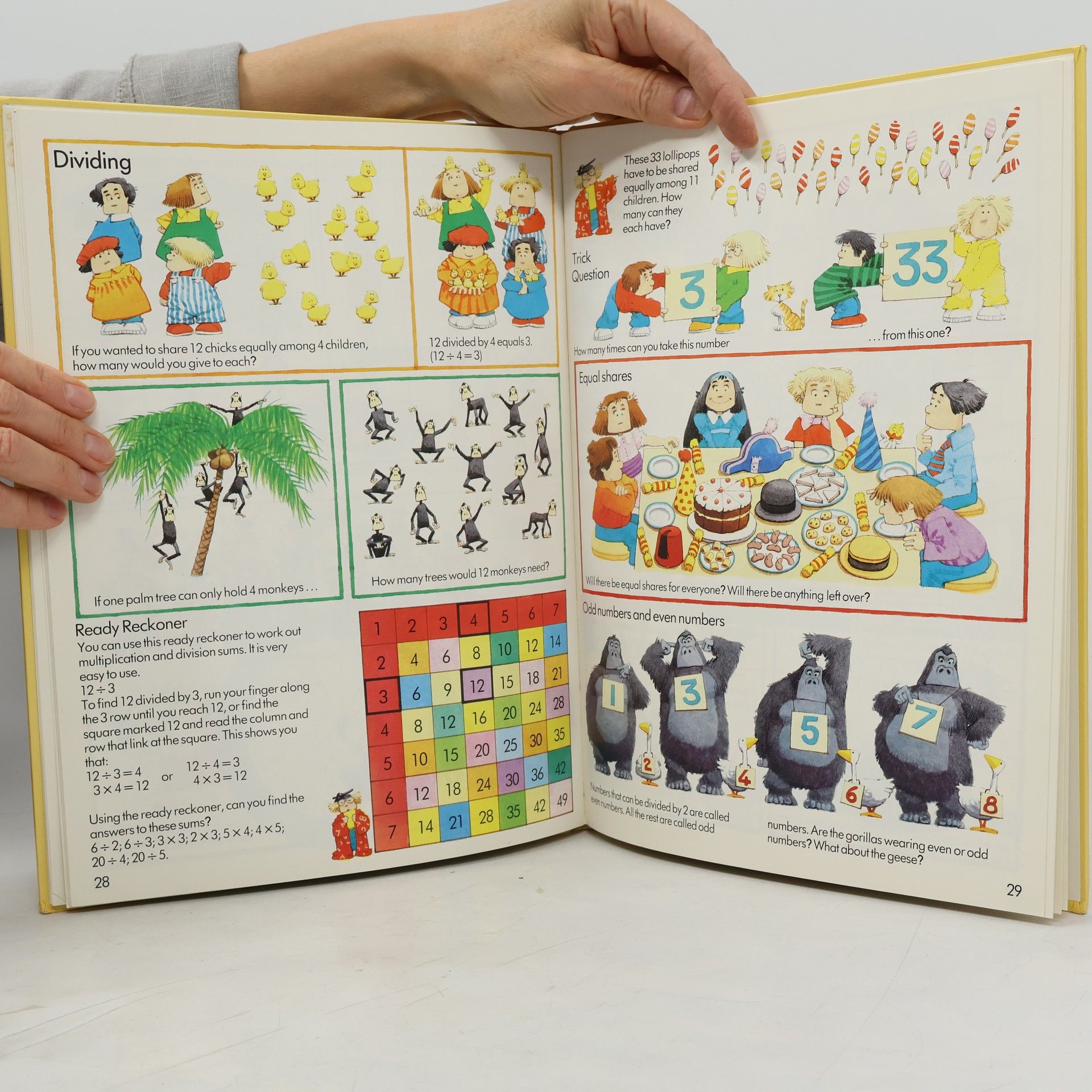 Claudia Zeff First Book of Numbers