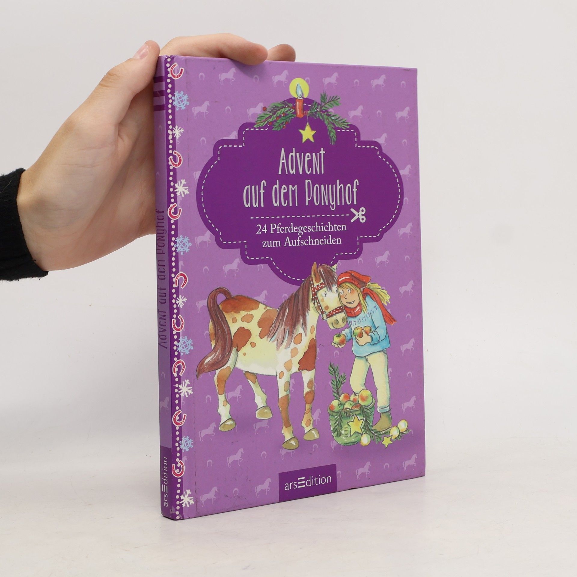 Autorenkollektiv Advent auf dem Ponyhof