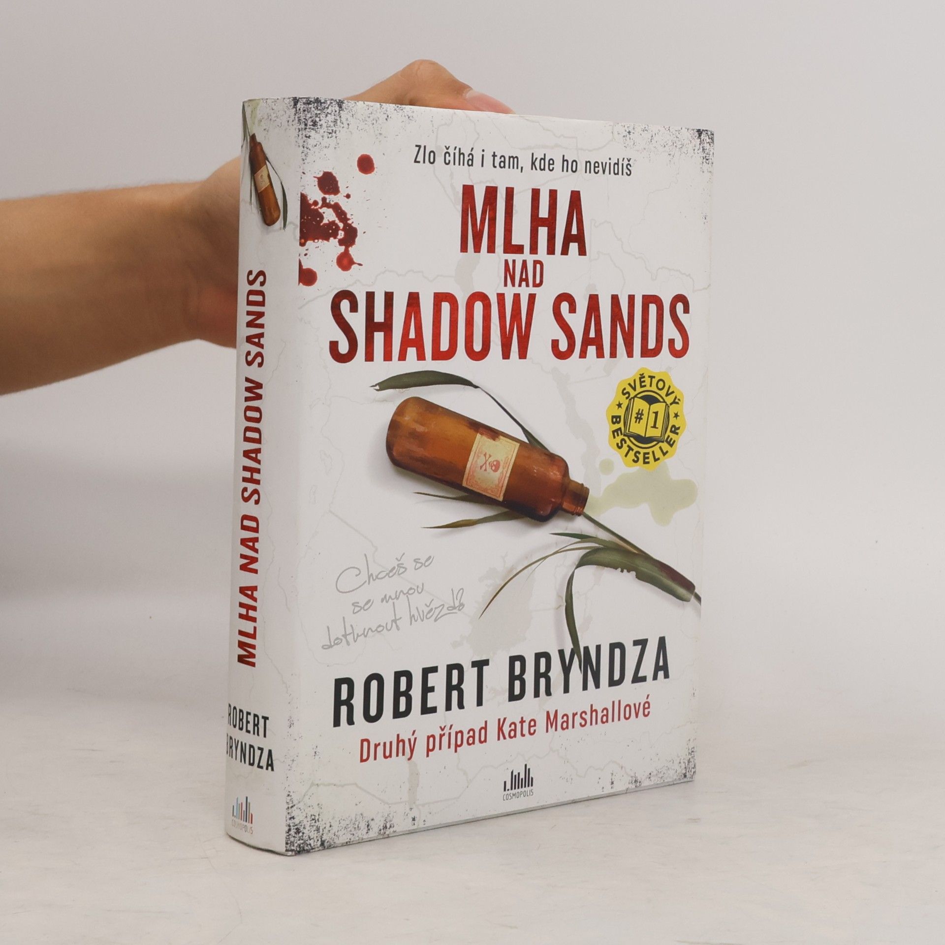 Robert Bryndza Mlha nad Shadow Sands