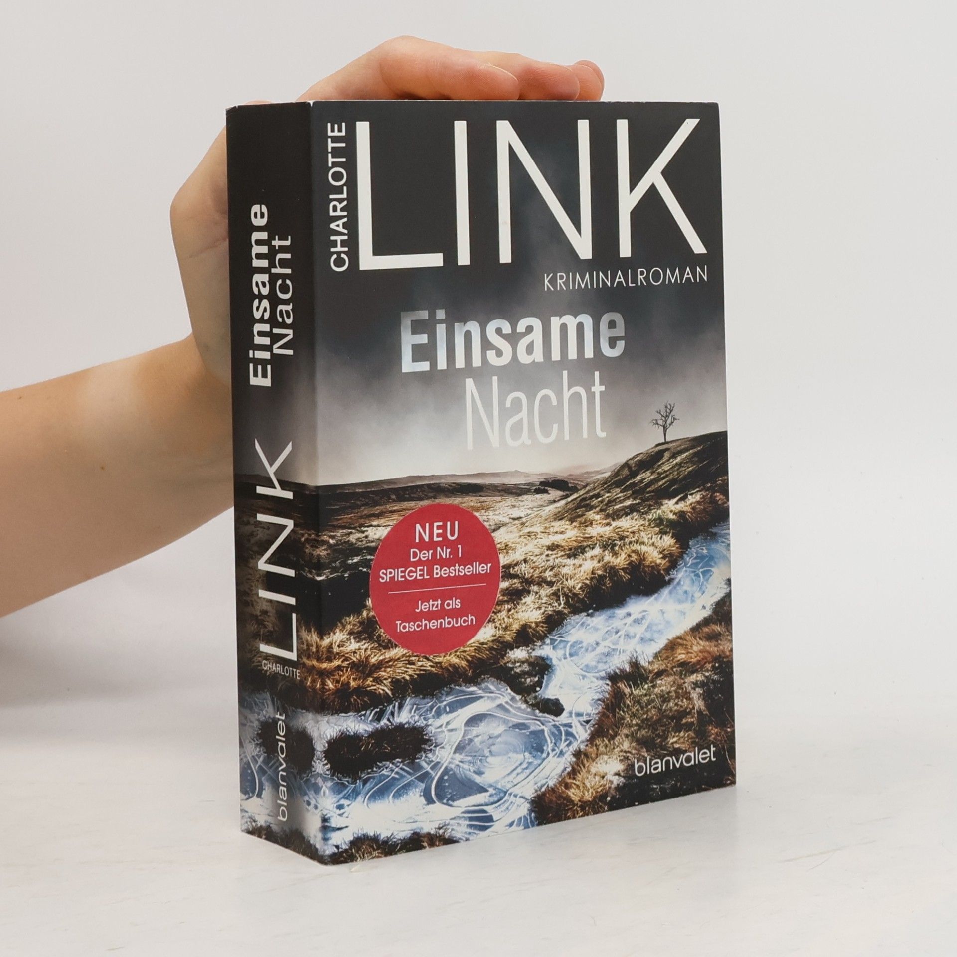 Charlotte Link Einsame Nacht