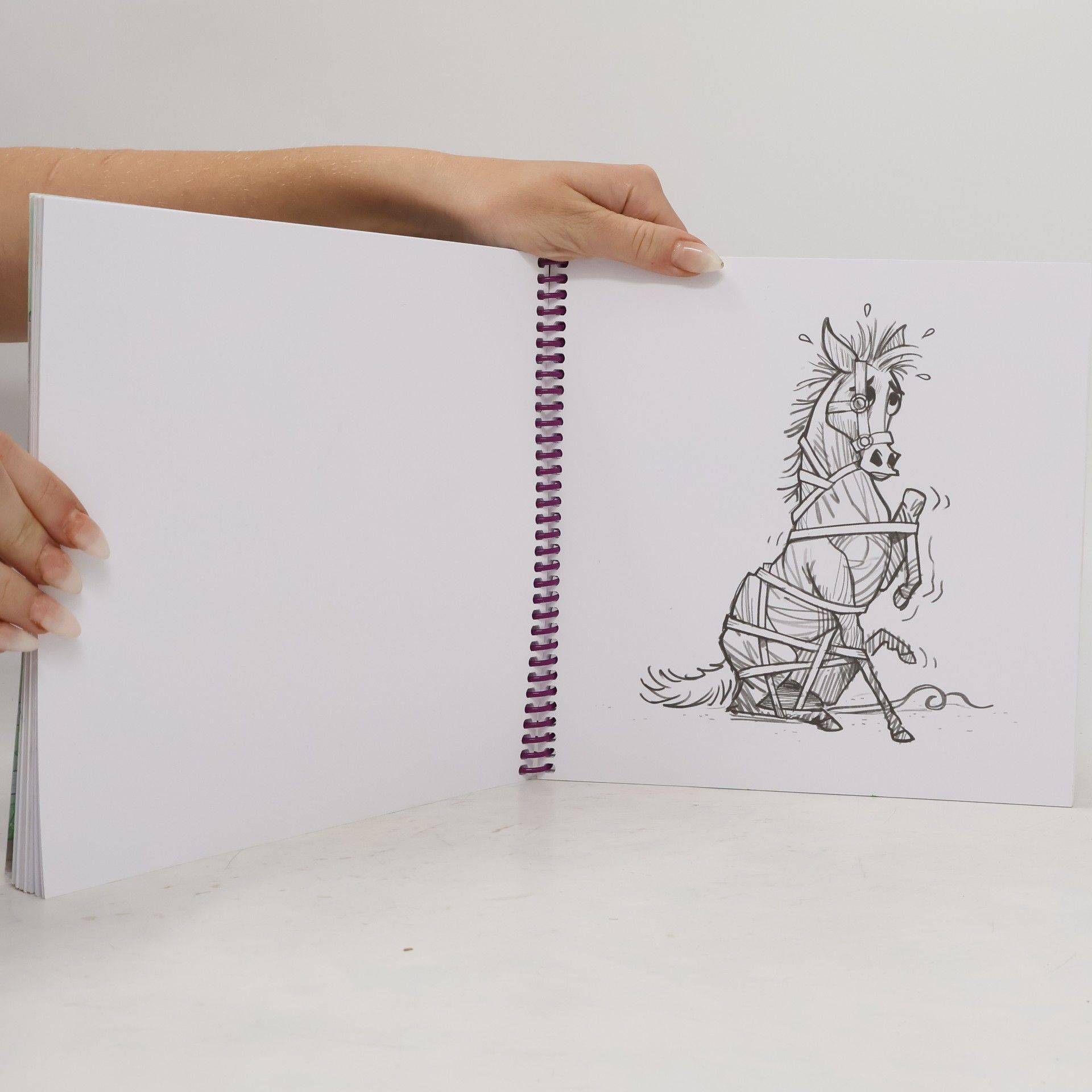 Sarah-Katrin Bourdeaux Sharif's Pferde-Malbuch