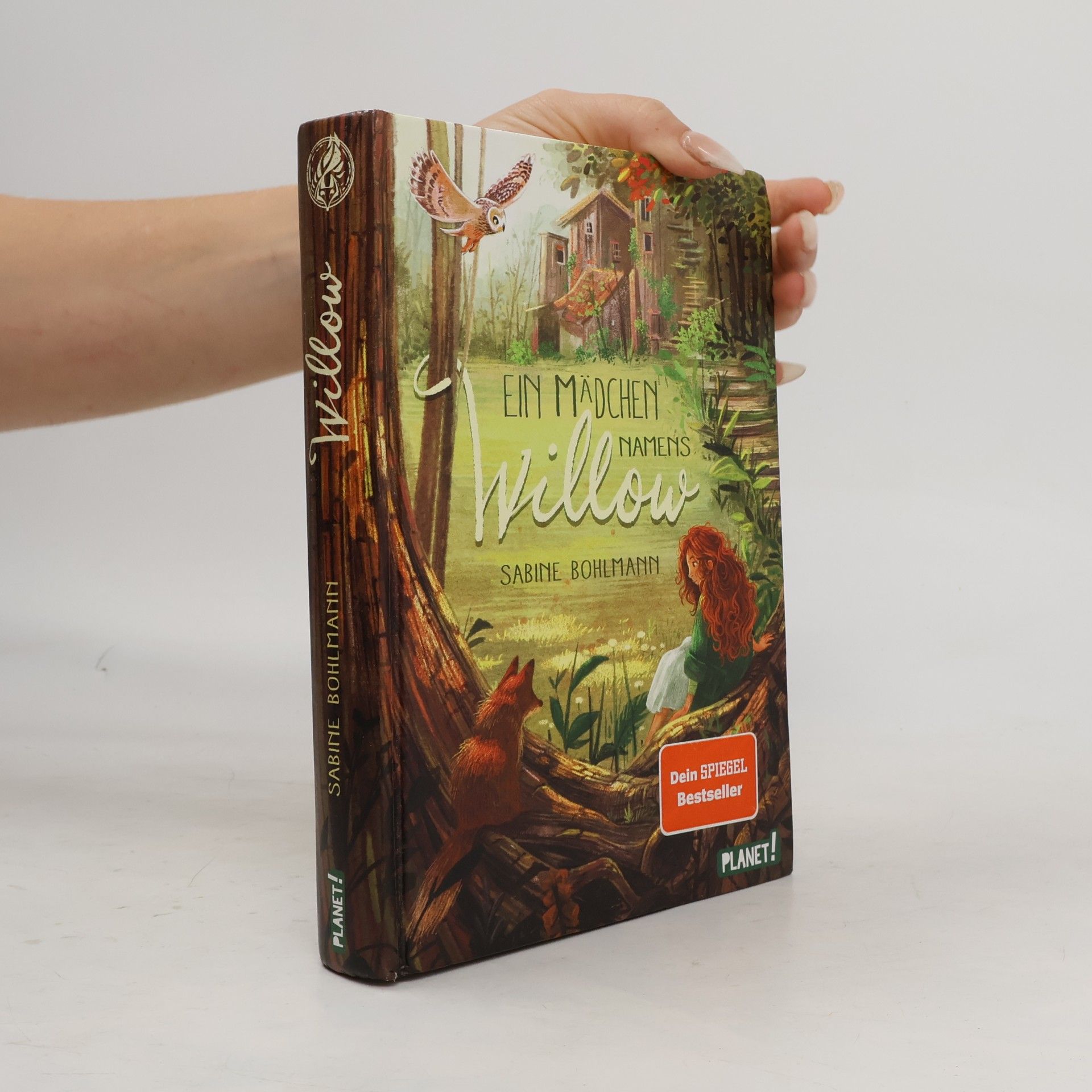 Sabine Bohlmann Ein Mädchen namens Willow