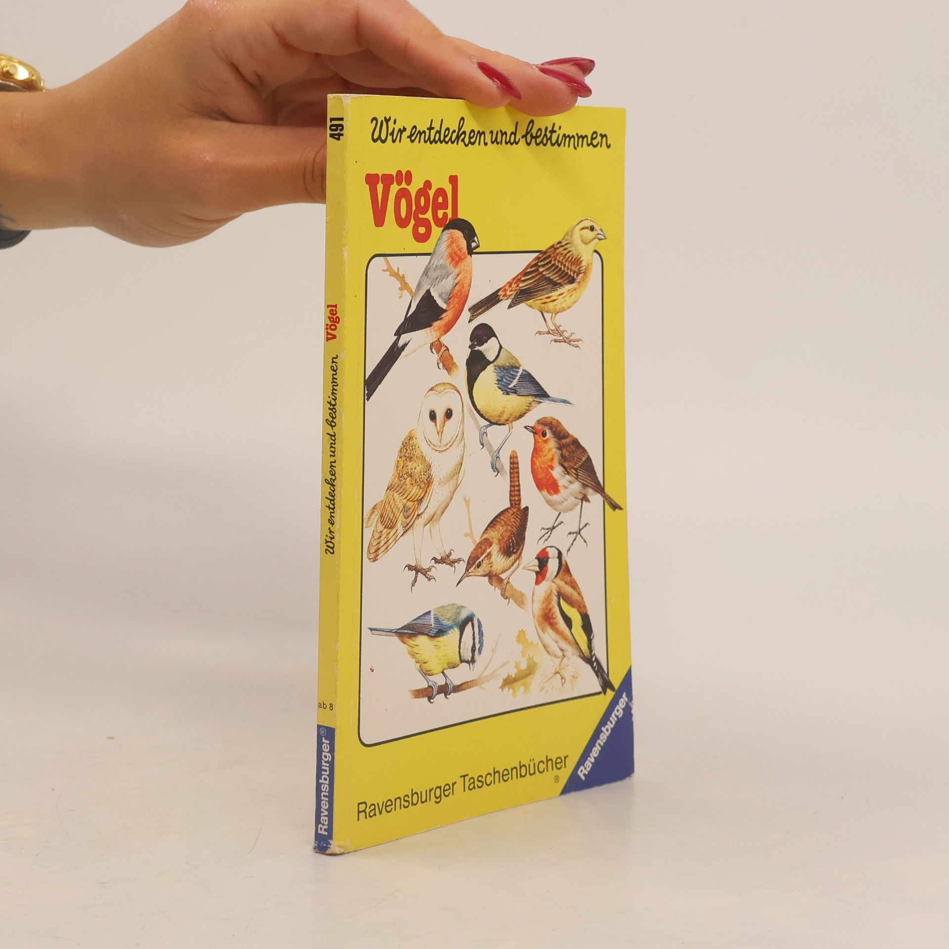 Various authors Wir entdecken und bestimmen - Vögel