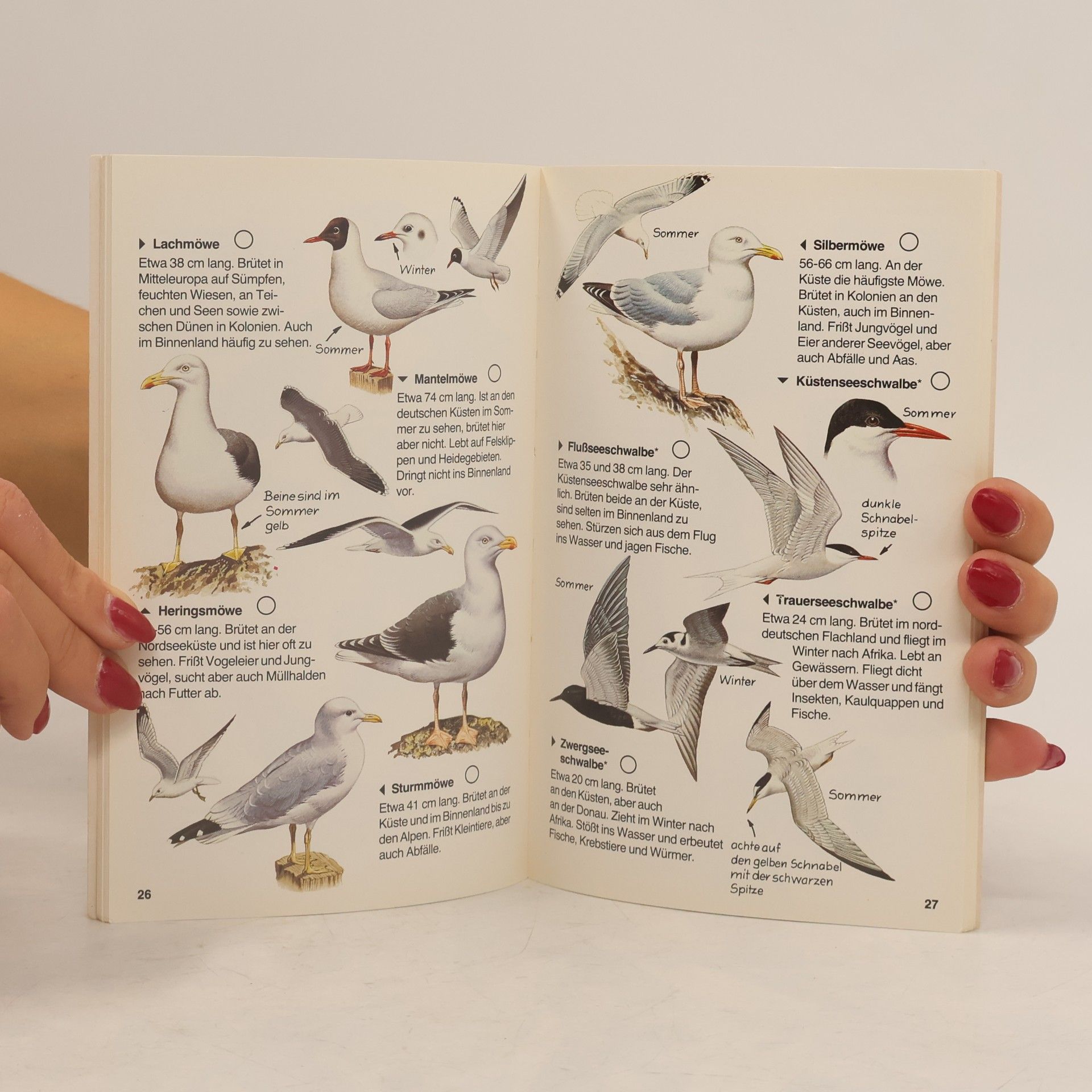 Autorenkollektiv Wir entdecken und bestimmen - Vögel