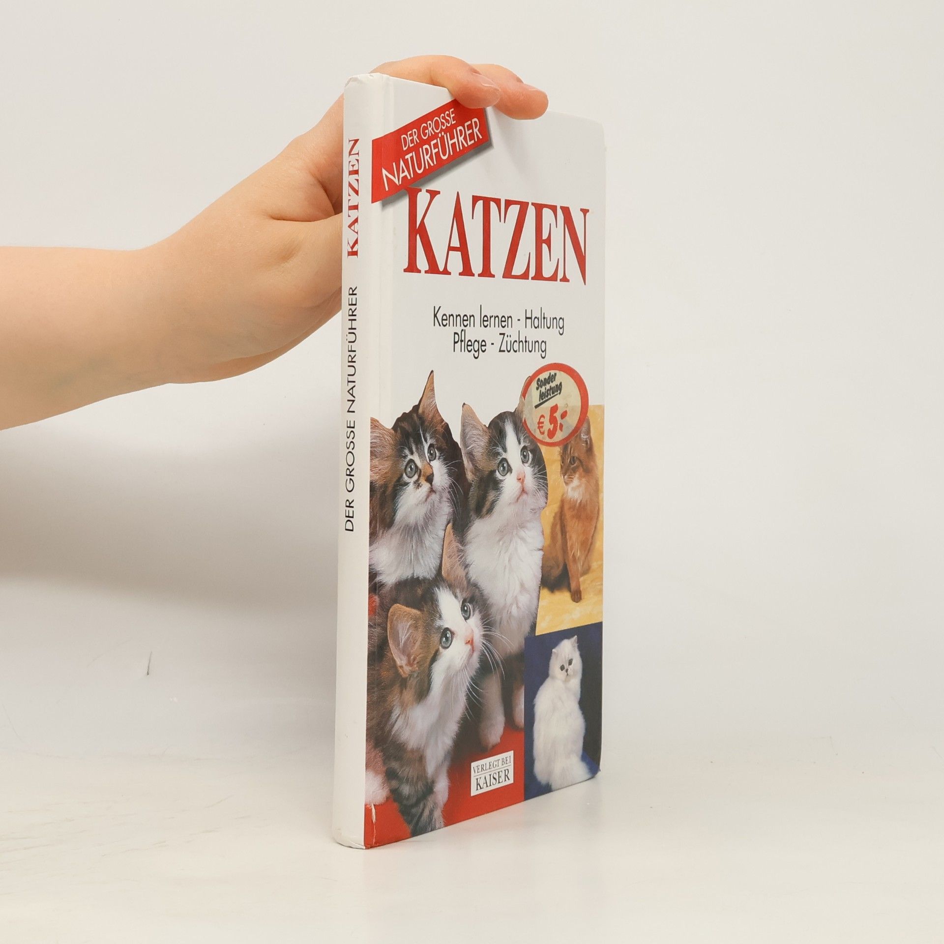 AA.VV. Katzen. Kennen lernen, Haltung, Pflege, Züchtung
