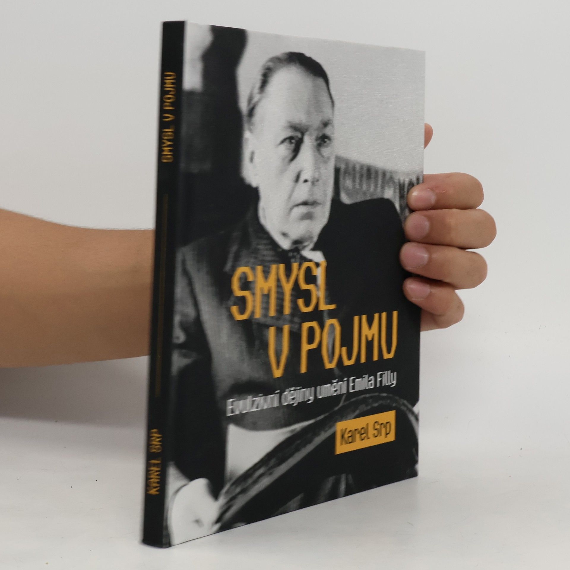 Karel Srp Smysl v pojmu - Evulzivní dějiny umění Emila Filly