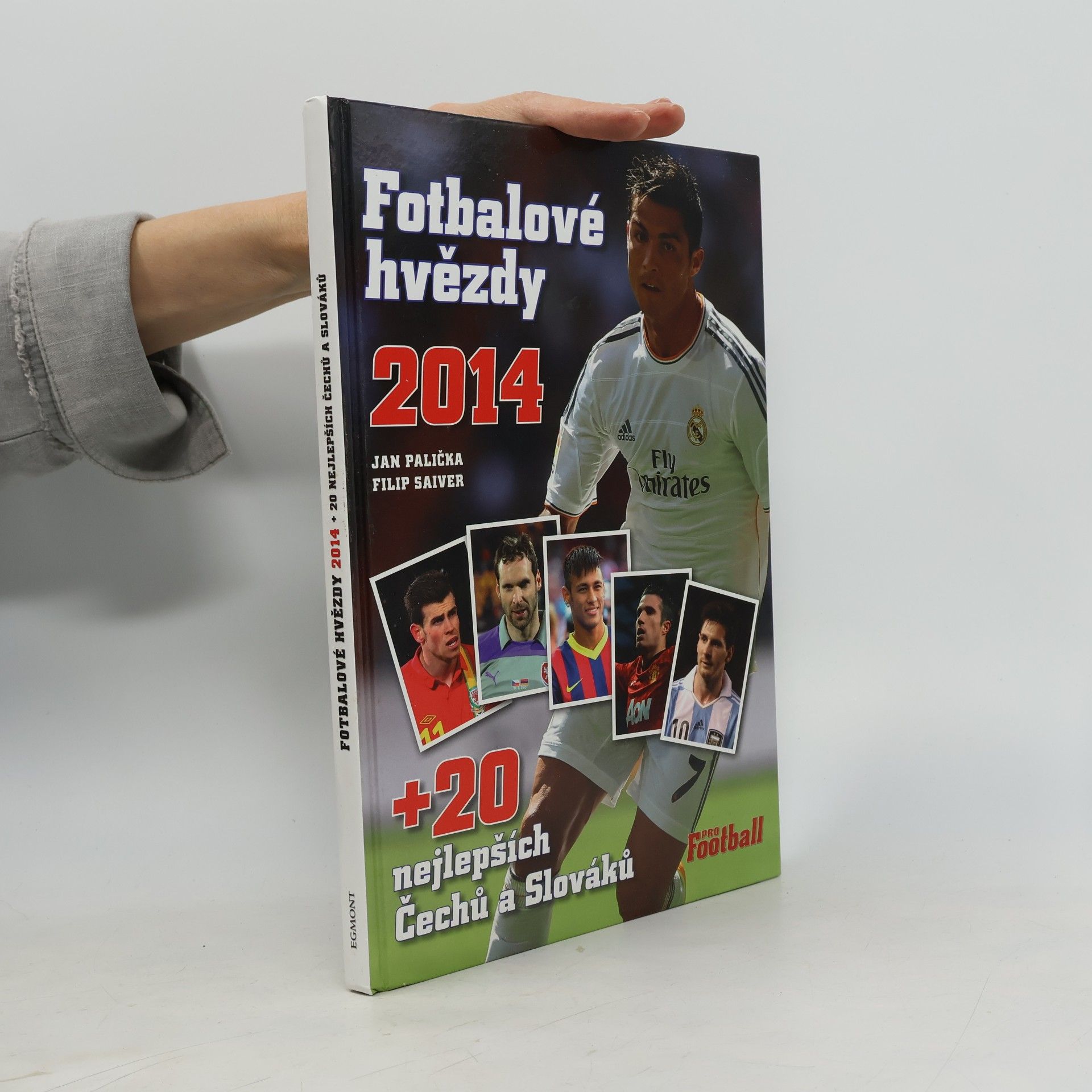 Fotbalové hvězdy 2014