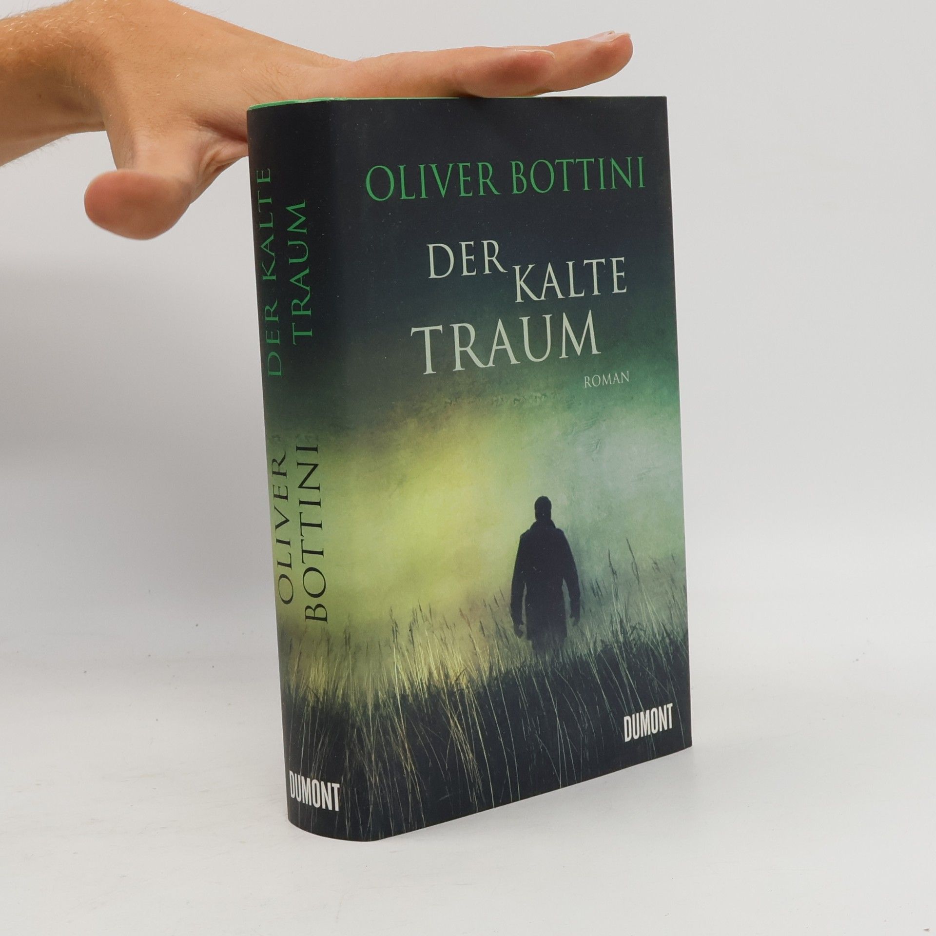 Der kalte Traum