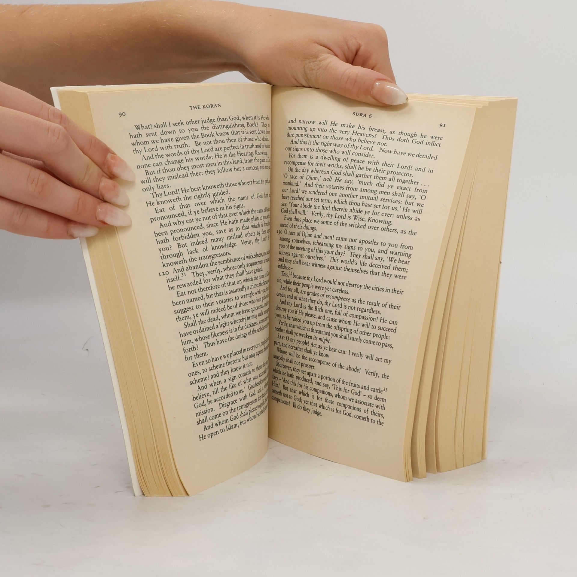 kolektiv The Koran