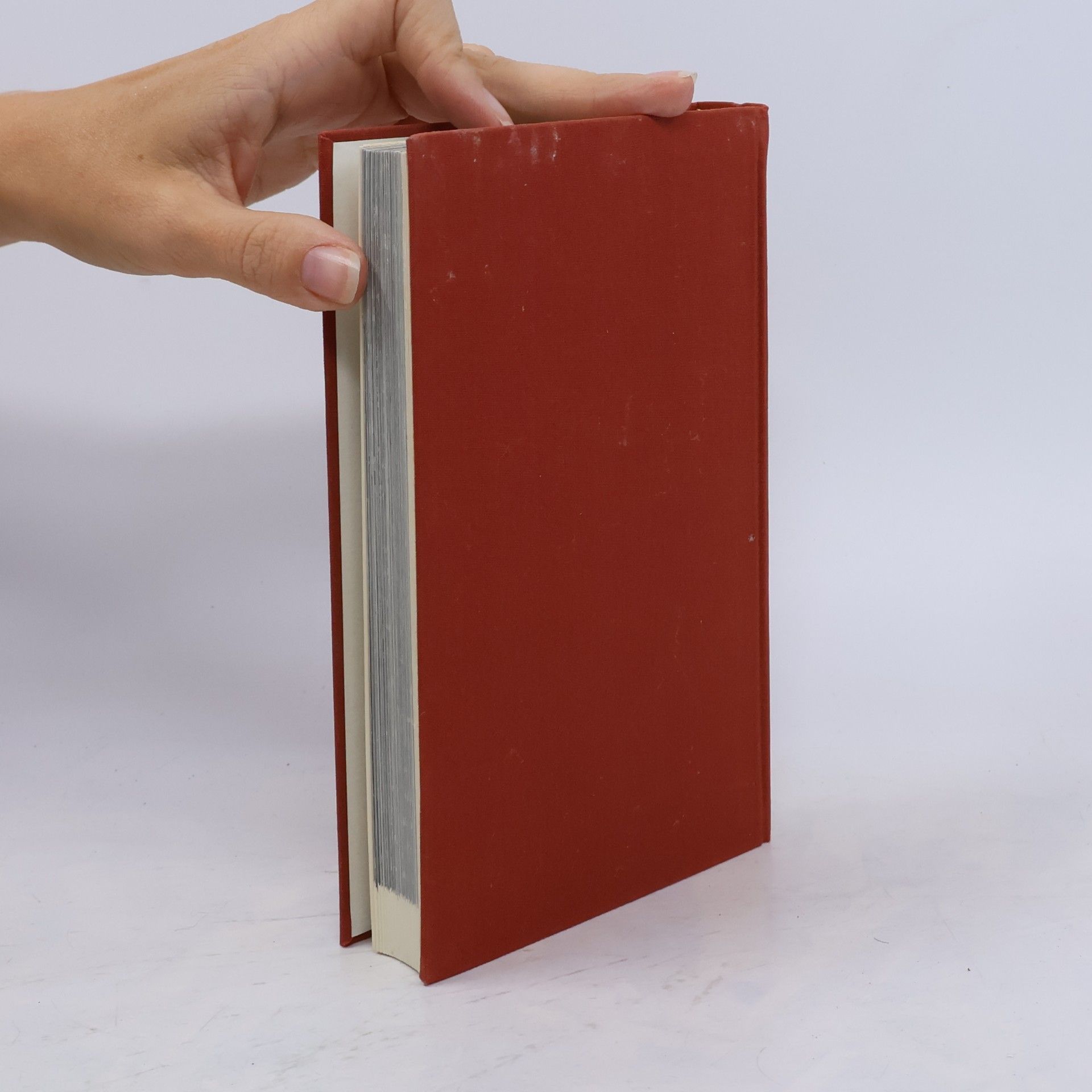 kolektiv Deutsche Kunstdenkmäler. Bildhandbuch Westfalen