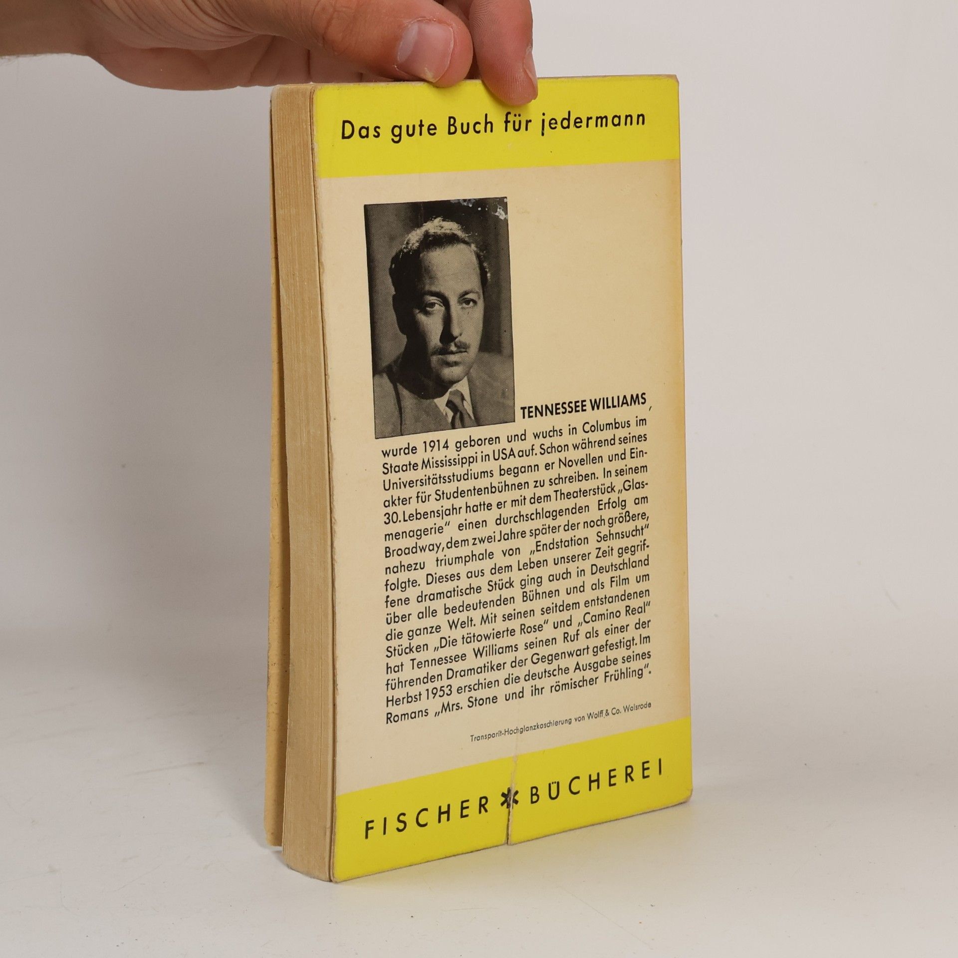 Tennessee Williams Endstation Sehnsucht