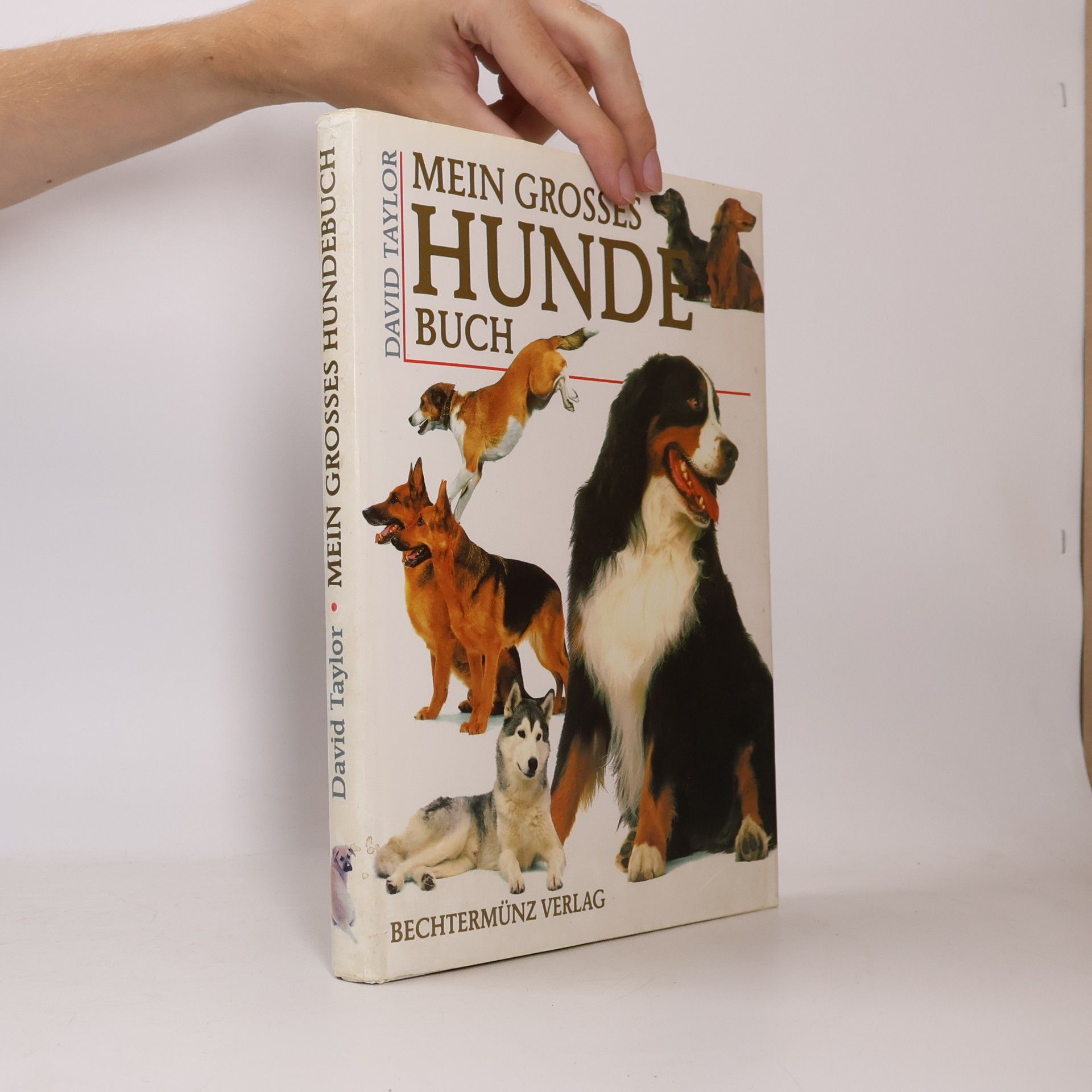 David Conrad Taylor Mein grosses Hunde-Buch
