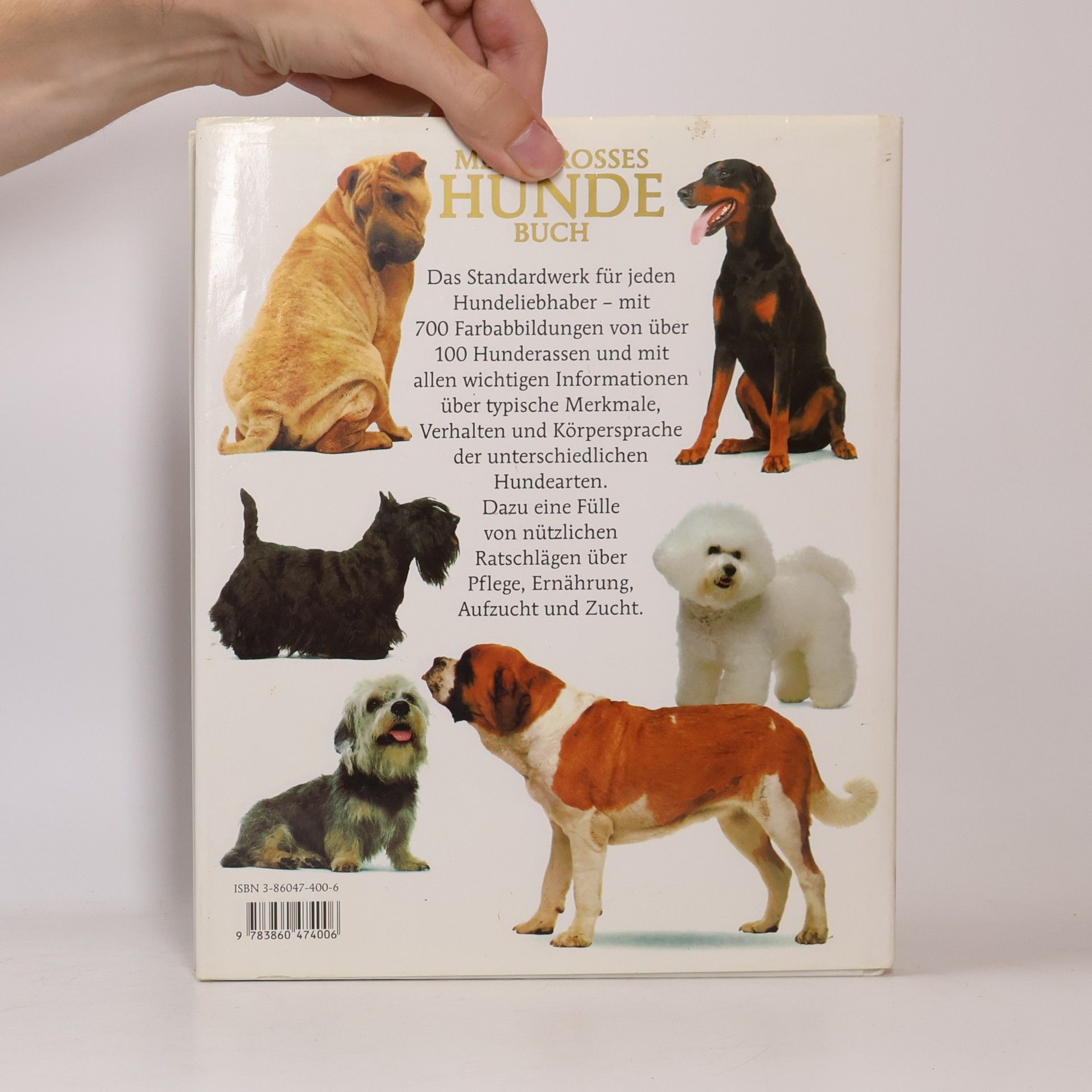 David Taylor Mein grosses Hunde-Buch