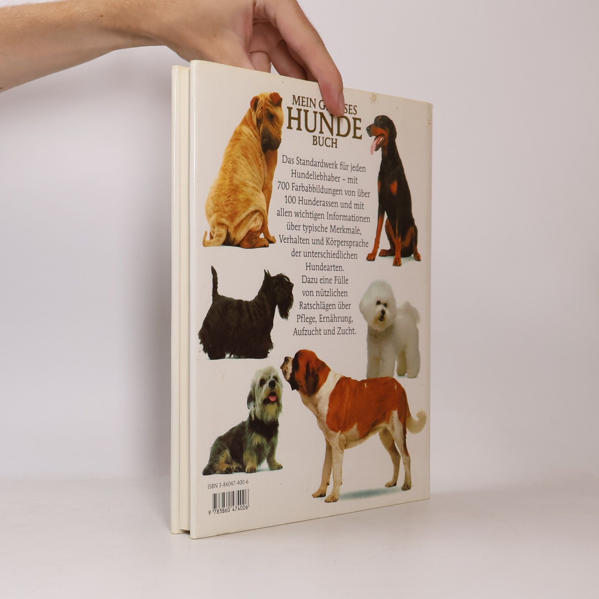 David Taylor Mein grosses Hunde-Buch