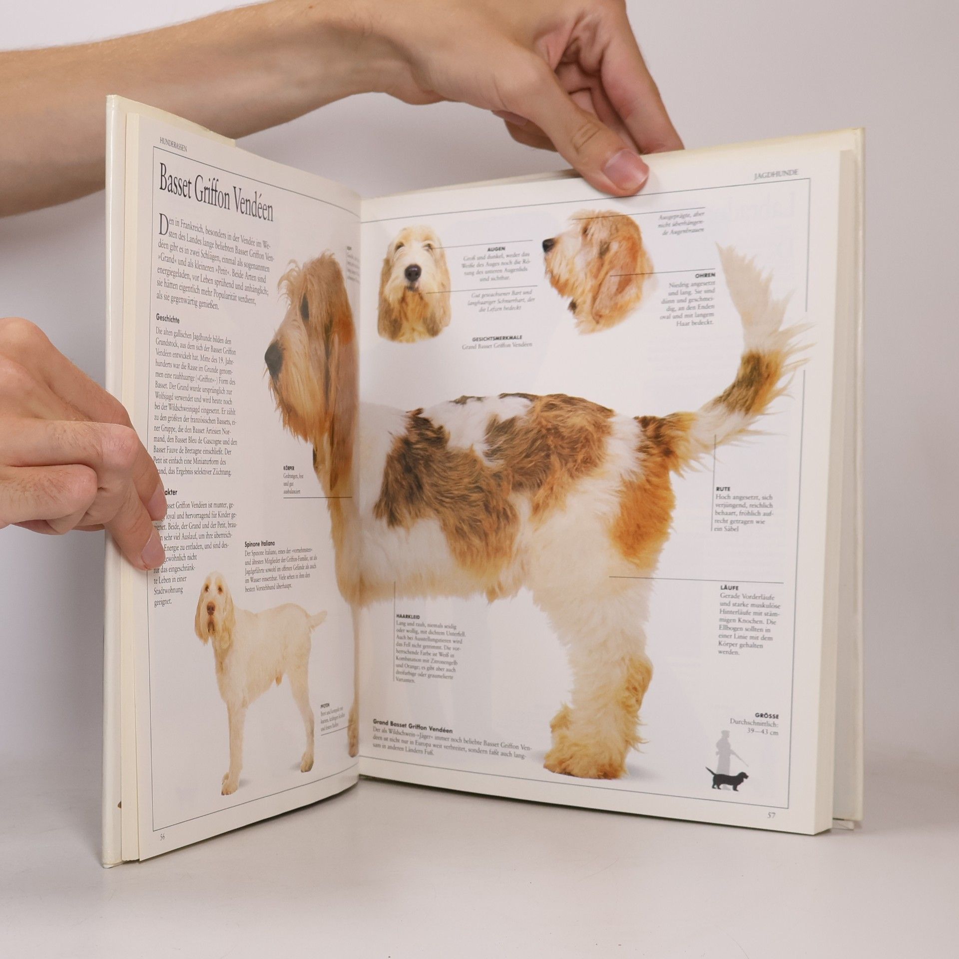 David Taylor Mein grosses Hunde-Buch