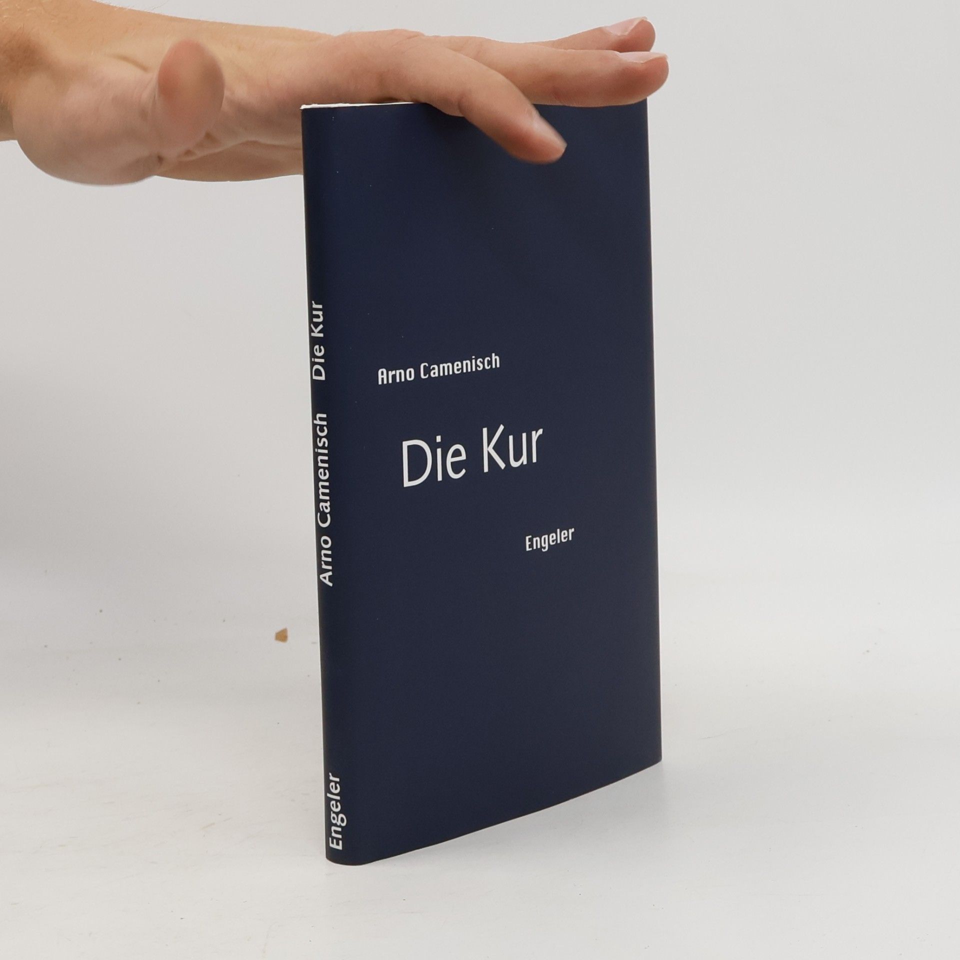 Arno Camenisch Die Kur