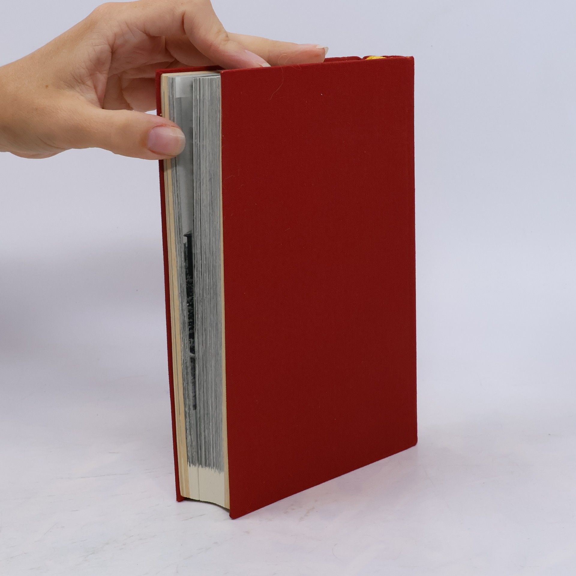 kolektiv Kunstdenkmäler in Jugoslawien. Bildhandbuch I
