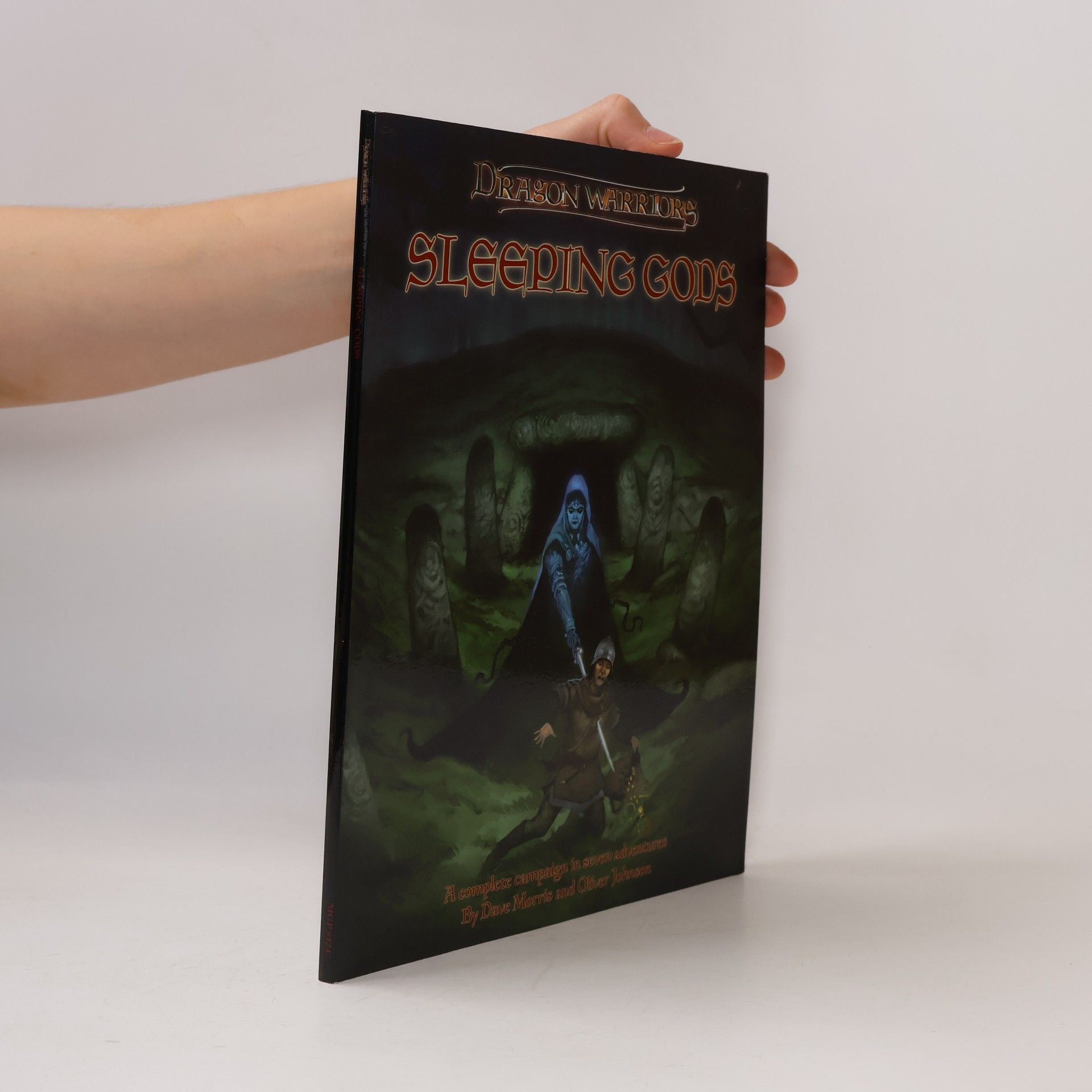 Dragon Warriors: Sleeping Gods