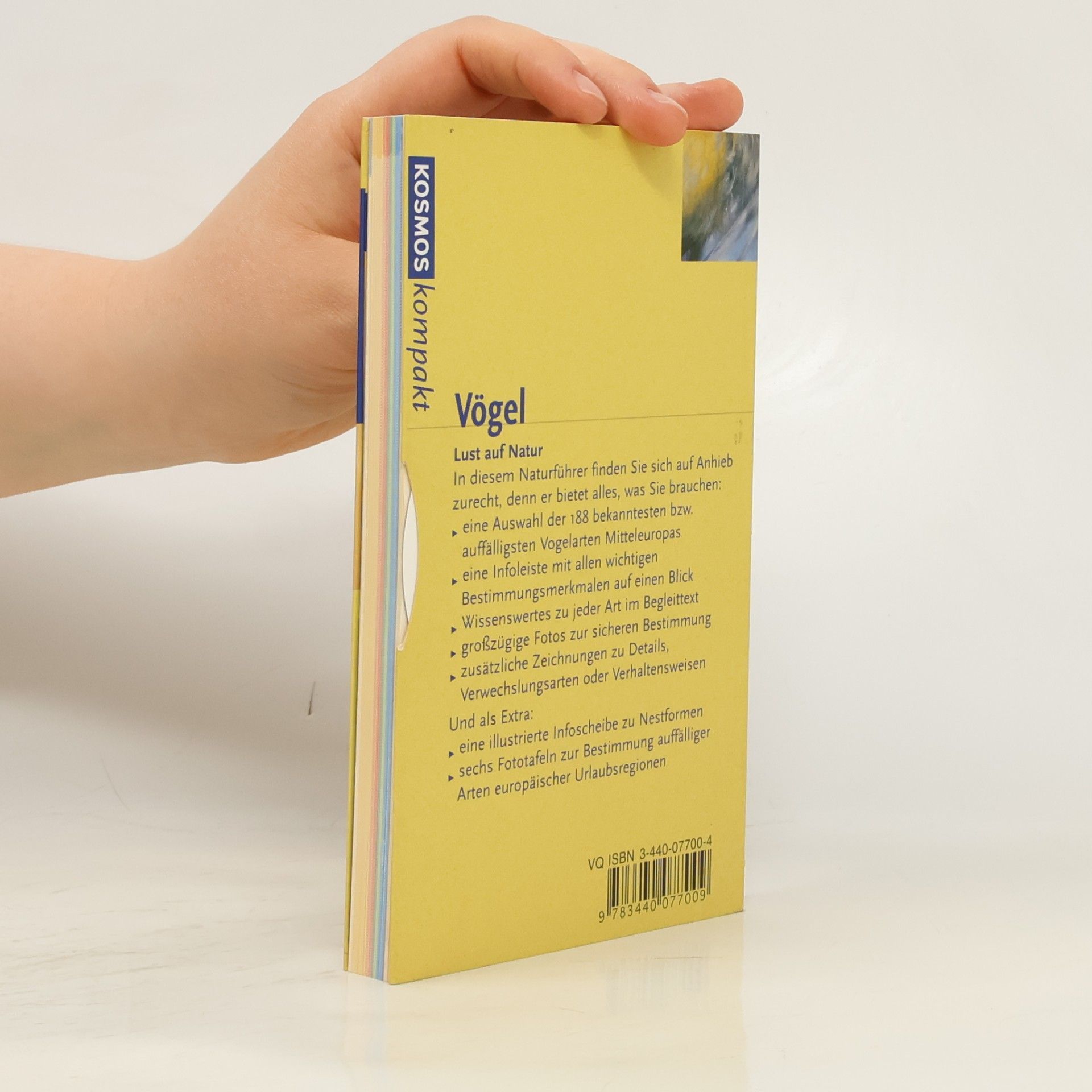 Eckart Pott Vögel