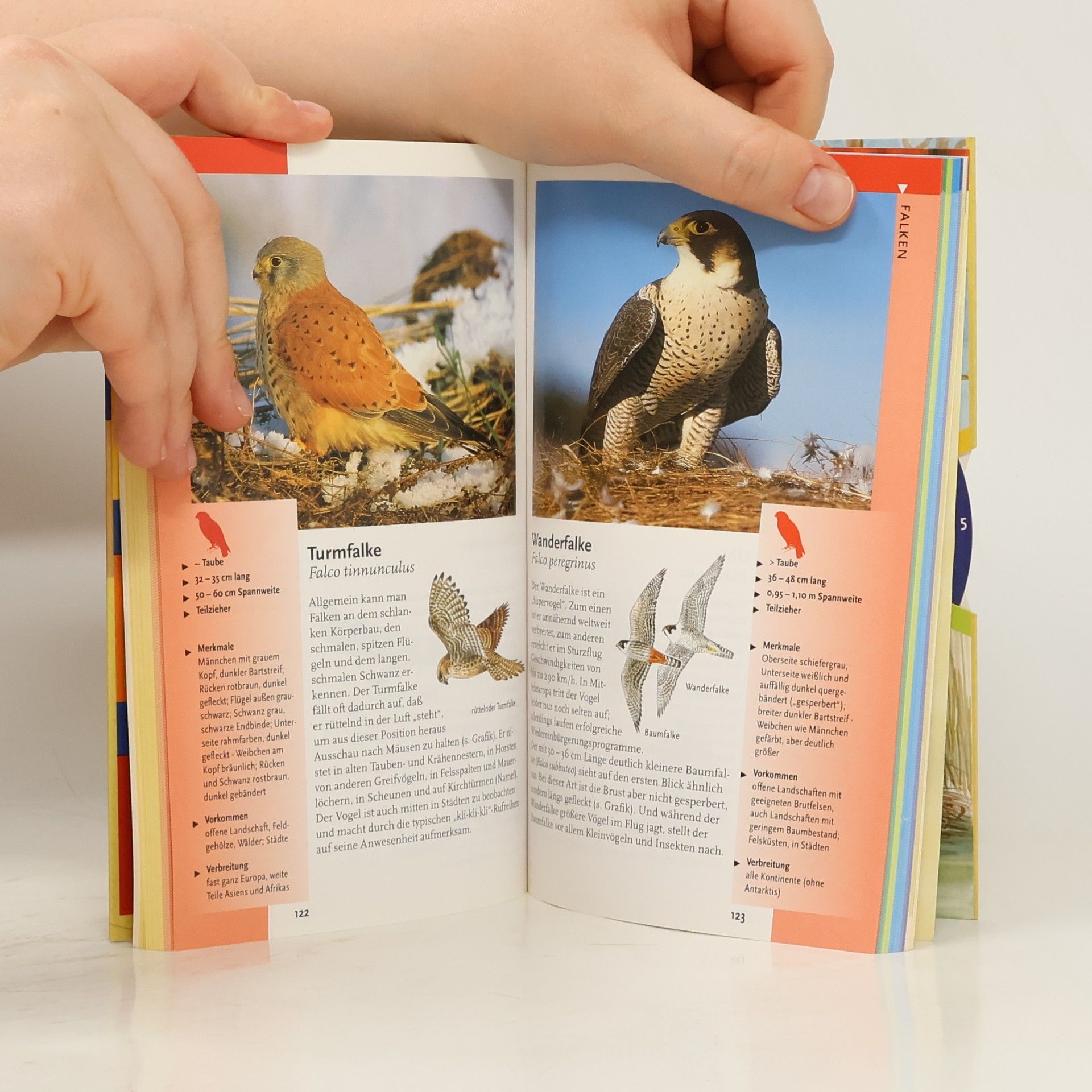 Eckart Pott Vögel