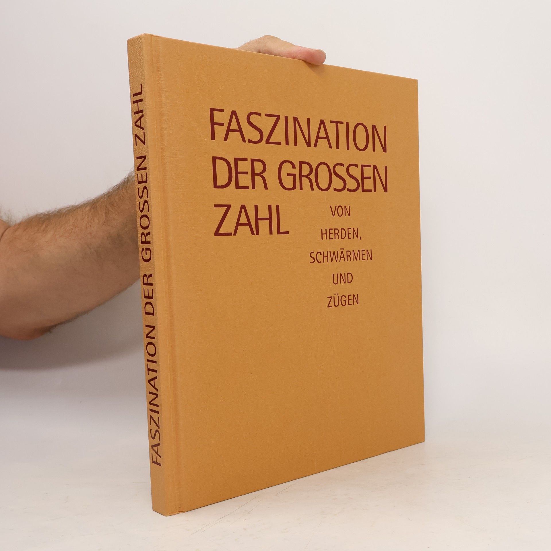 Kolektiv autorů Faszination der grossen Zahl