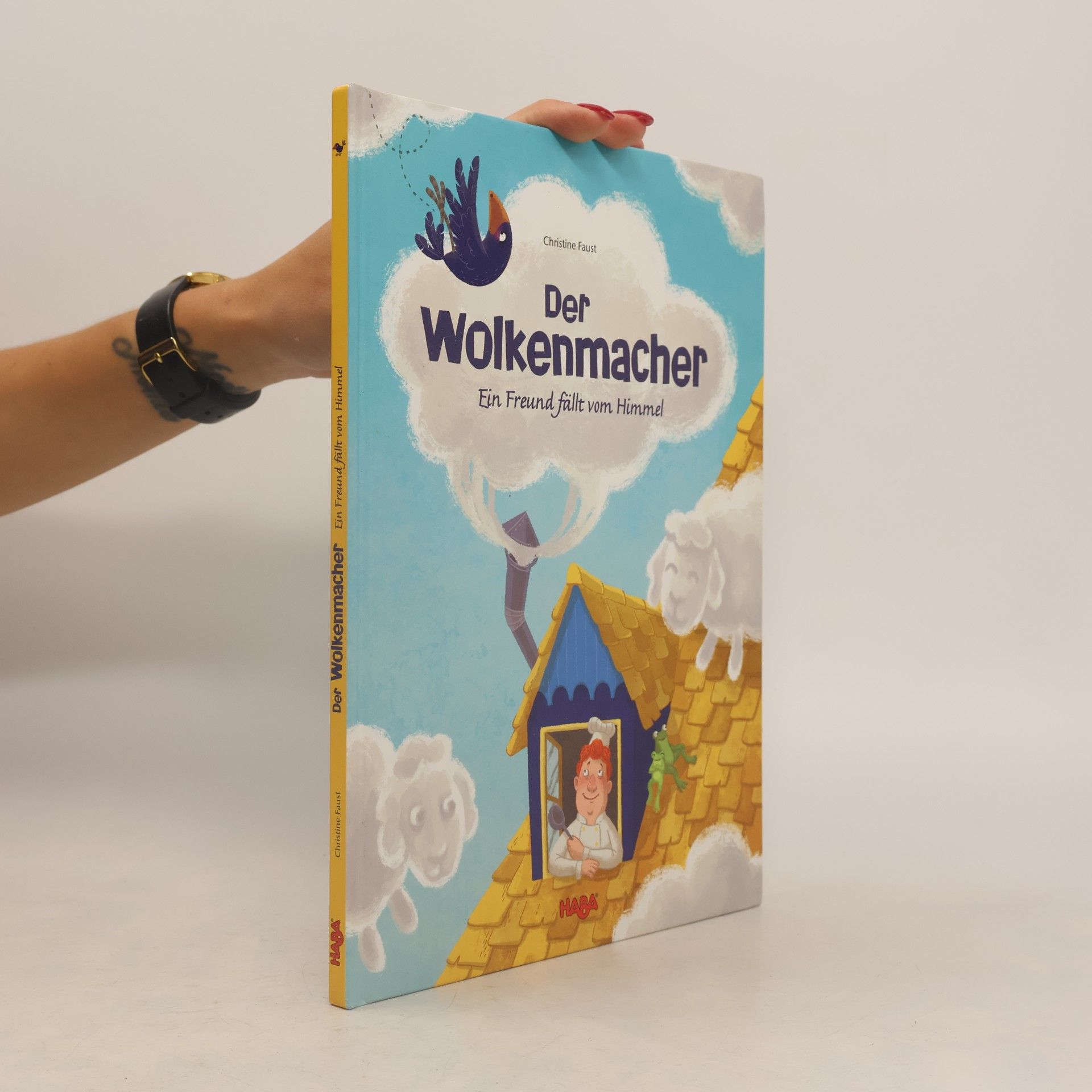 Der Wolkenmacher