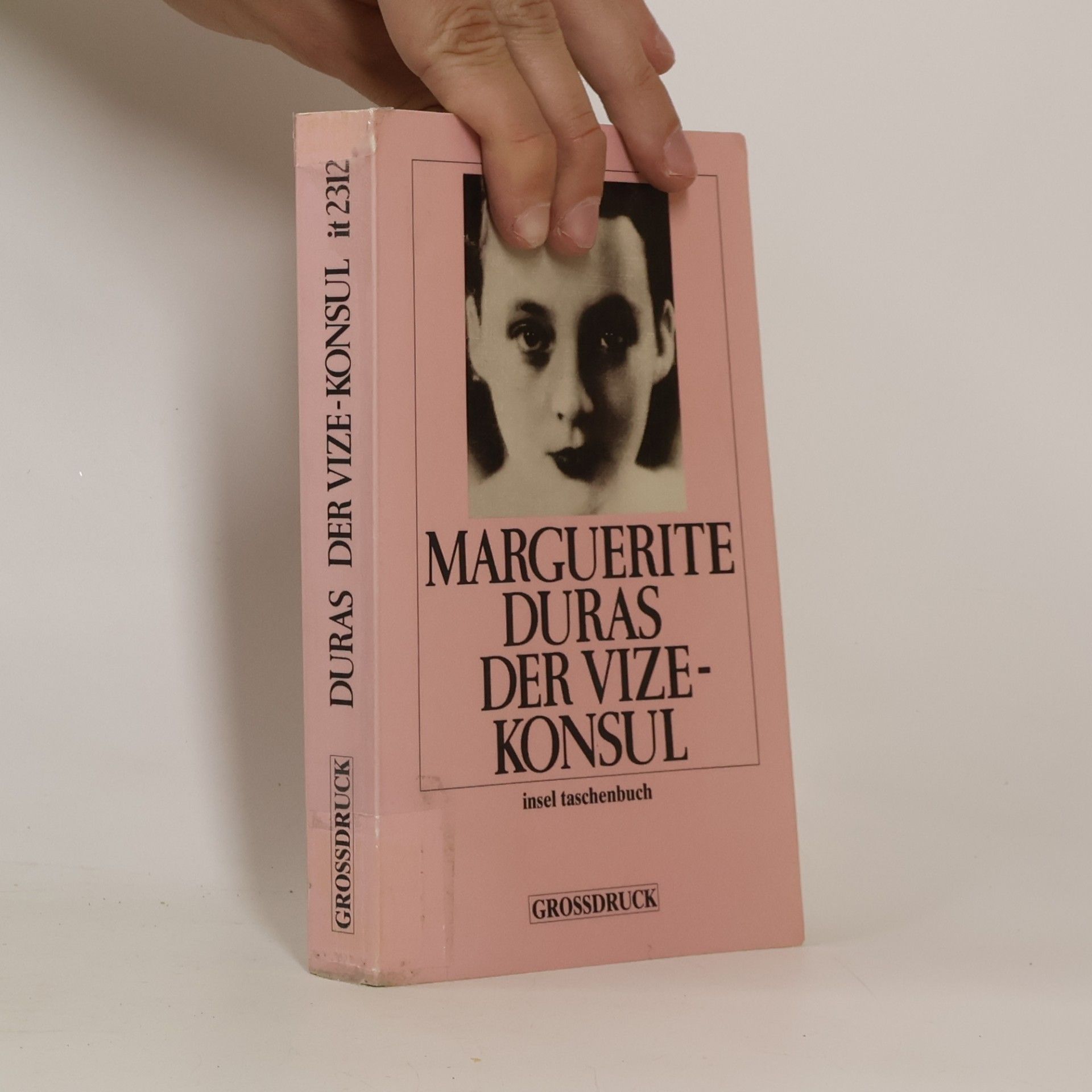 Marguerite Duras Der Vizekonsul
