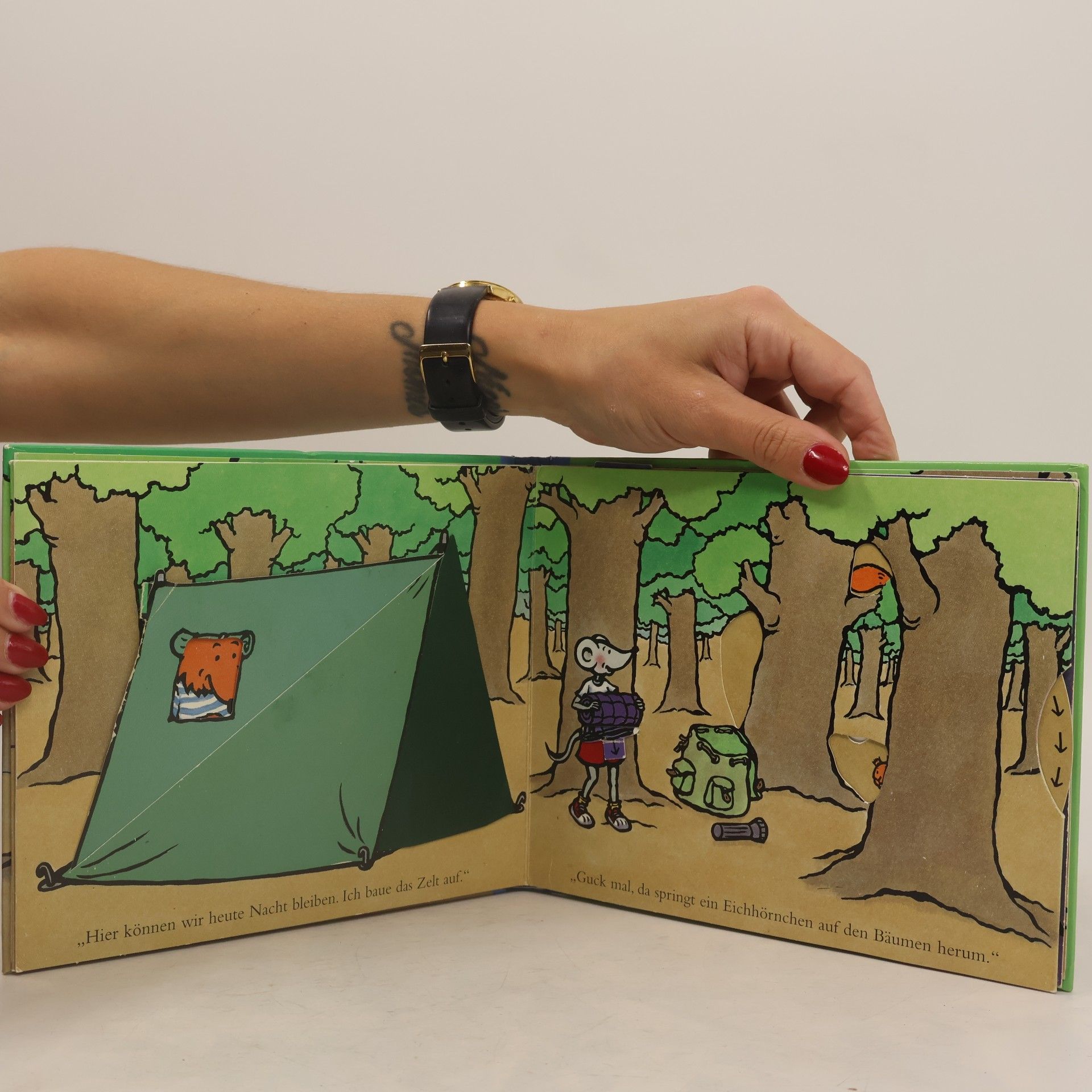 Armelle Boy Tom und Lea im Wald. Tom, der Fuchs und Lea, die kleine Maus, machen zusammen einen Ausflug in den Wald. Mit vielen beweglichen Teilen zum Fühlen, Drehen, Ziehen und Klappen