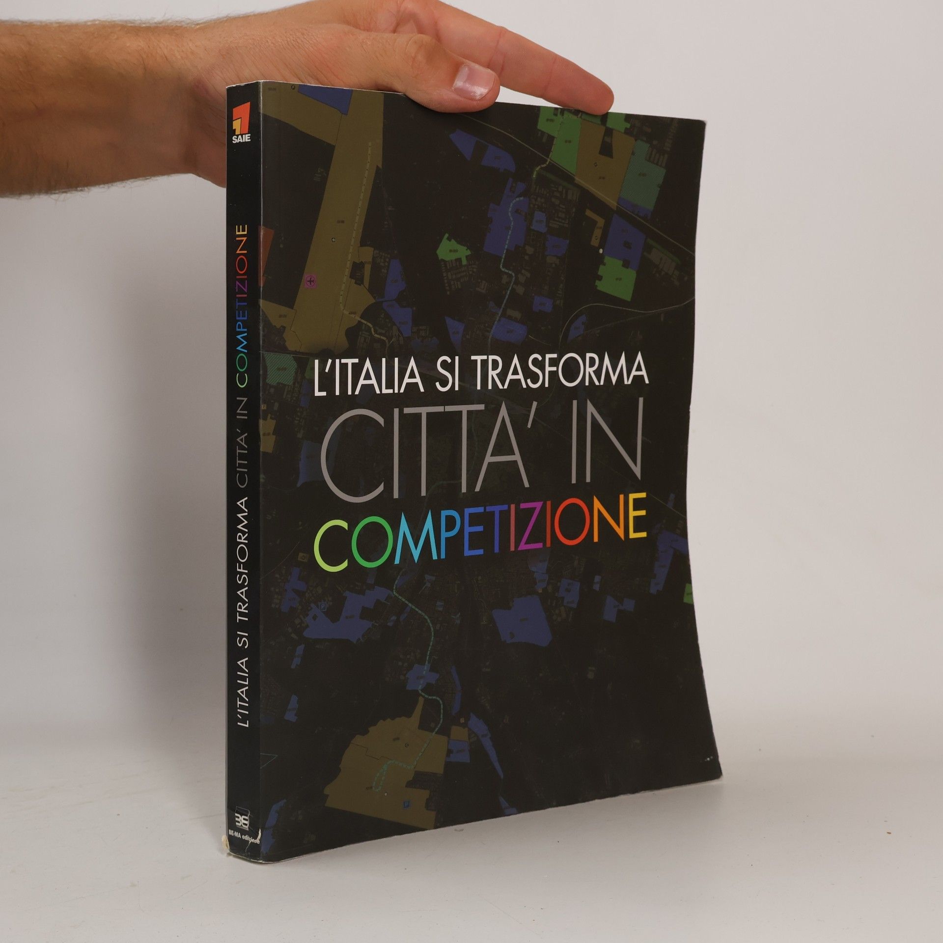 Maria Rosa Ronzoni L'Italia si trasforma