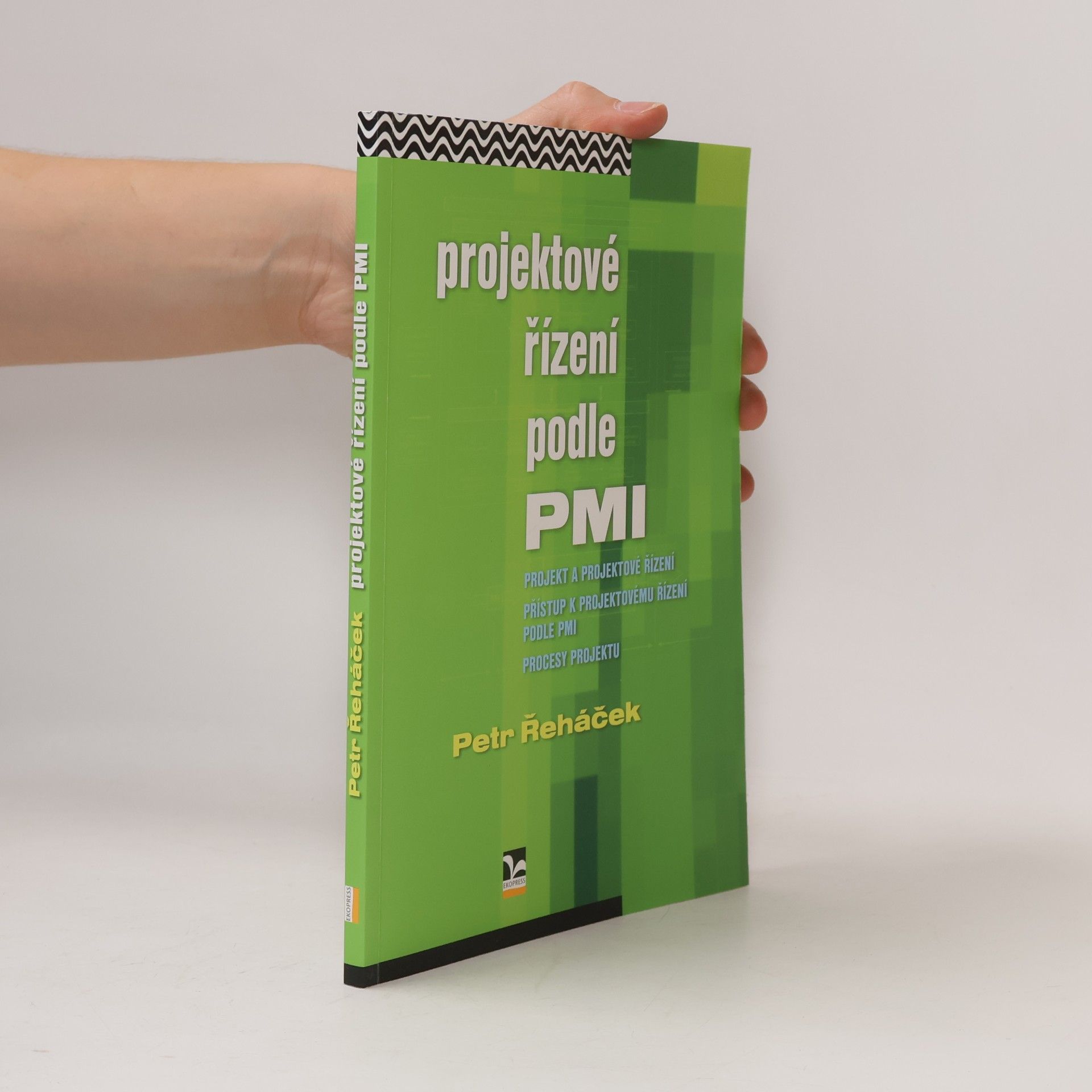 Autorenkollektiv Projektové řízení podle PMI
