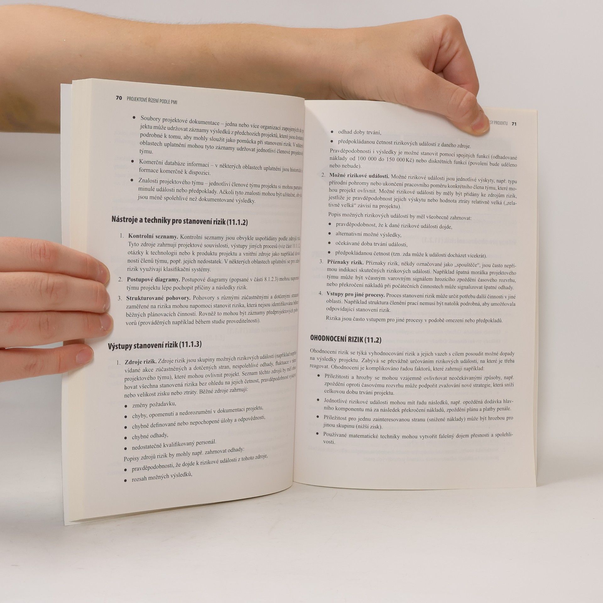 Autorenkollektiv Projektové řízení podle PMI