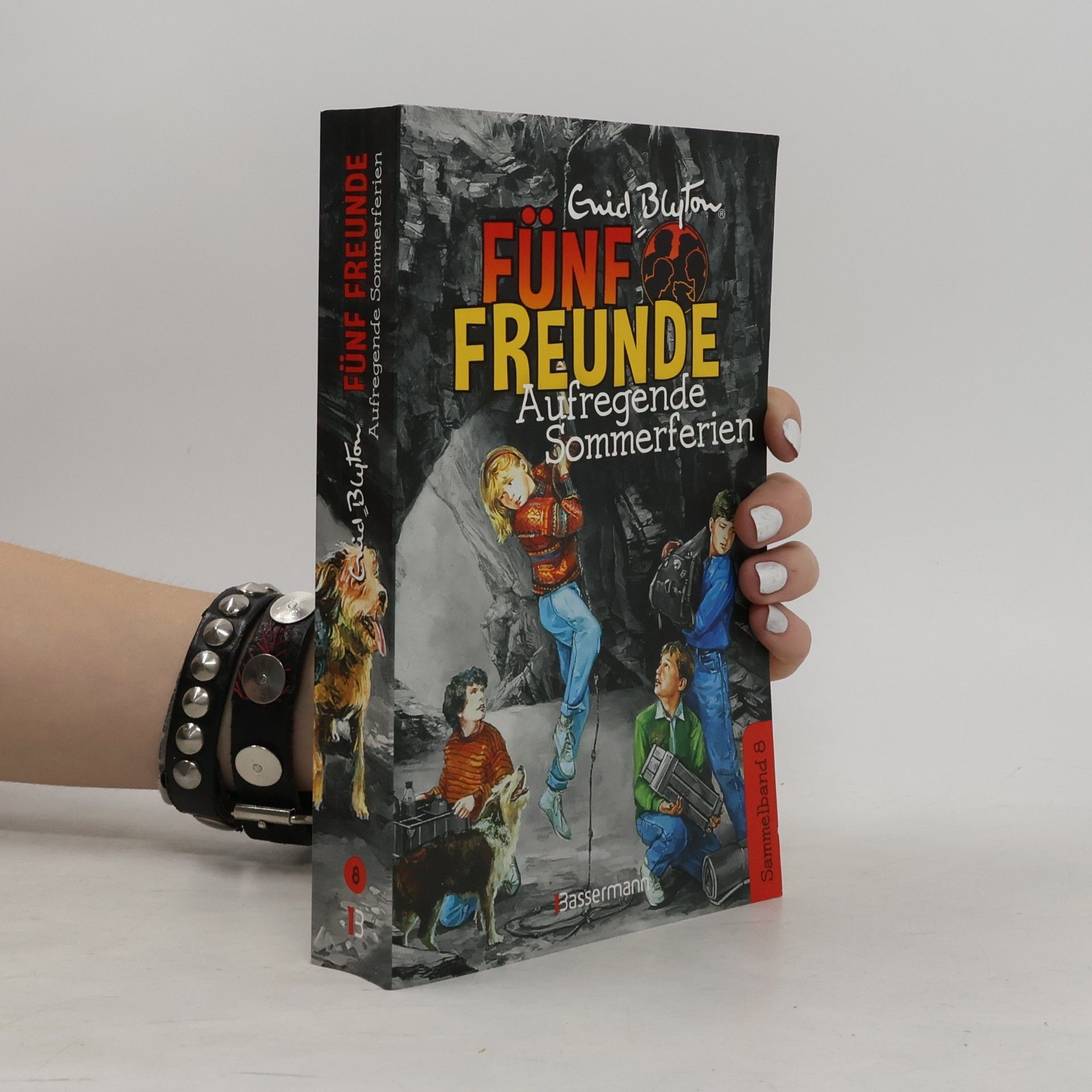 Marita Moshammer-Lohrer Fünf Freunde. Aufregende Sommerferien