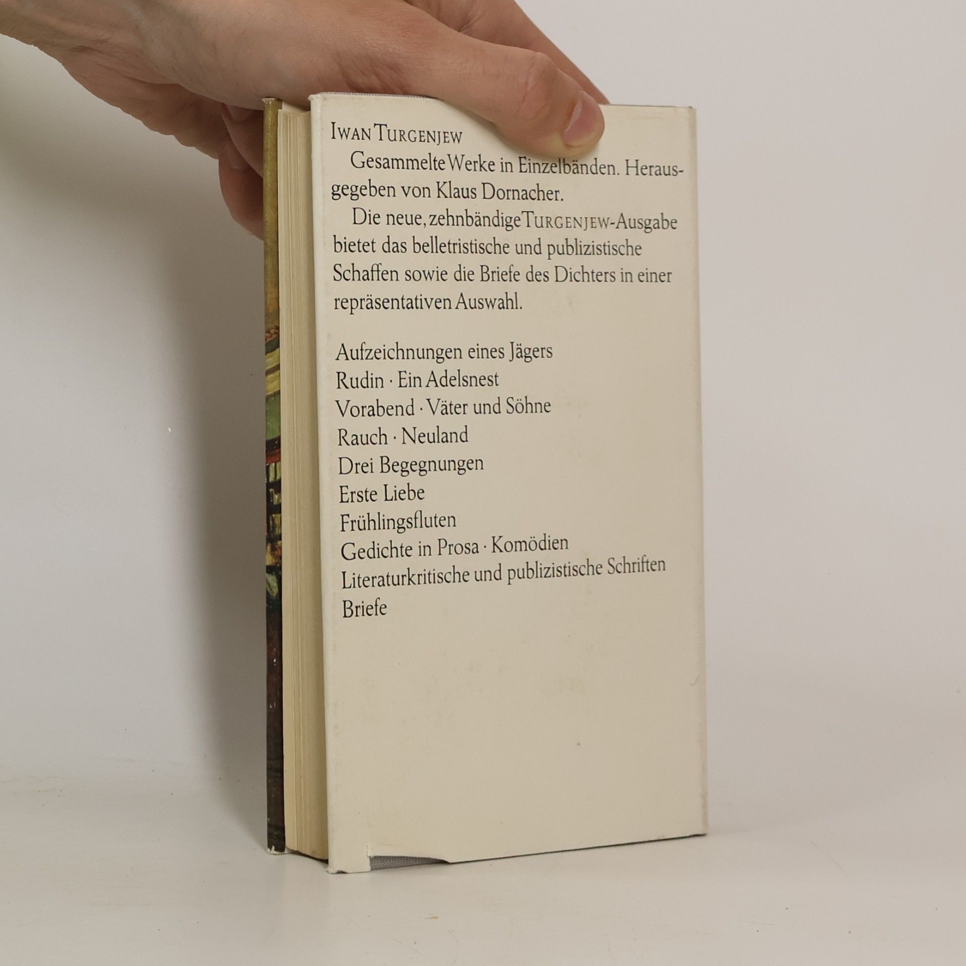 Ivan Turgenev Literaturkritische und publizistische Schriften