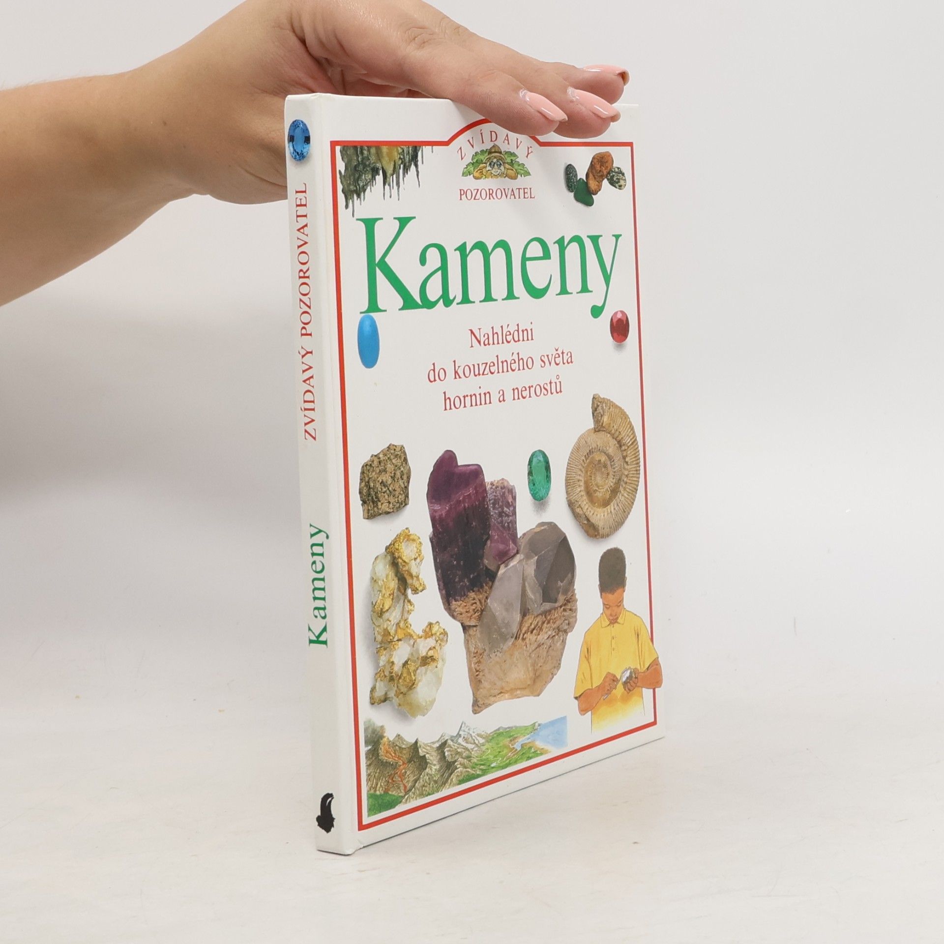 Steve Parker Kameny